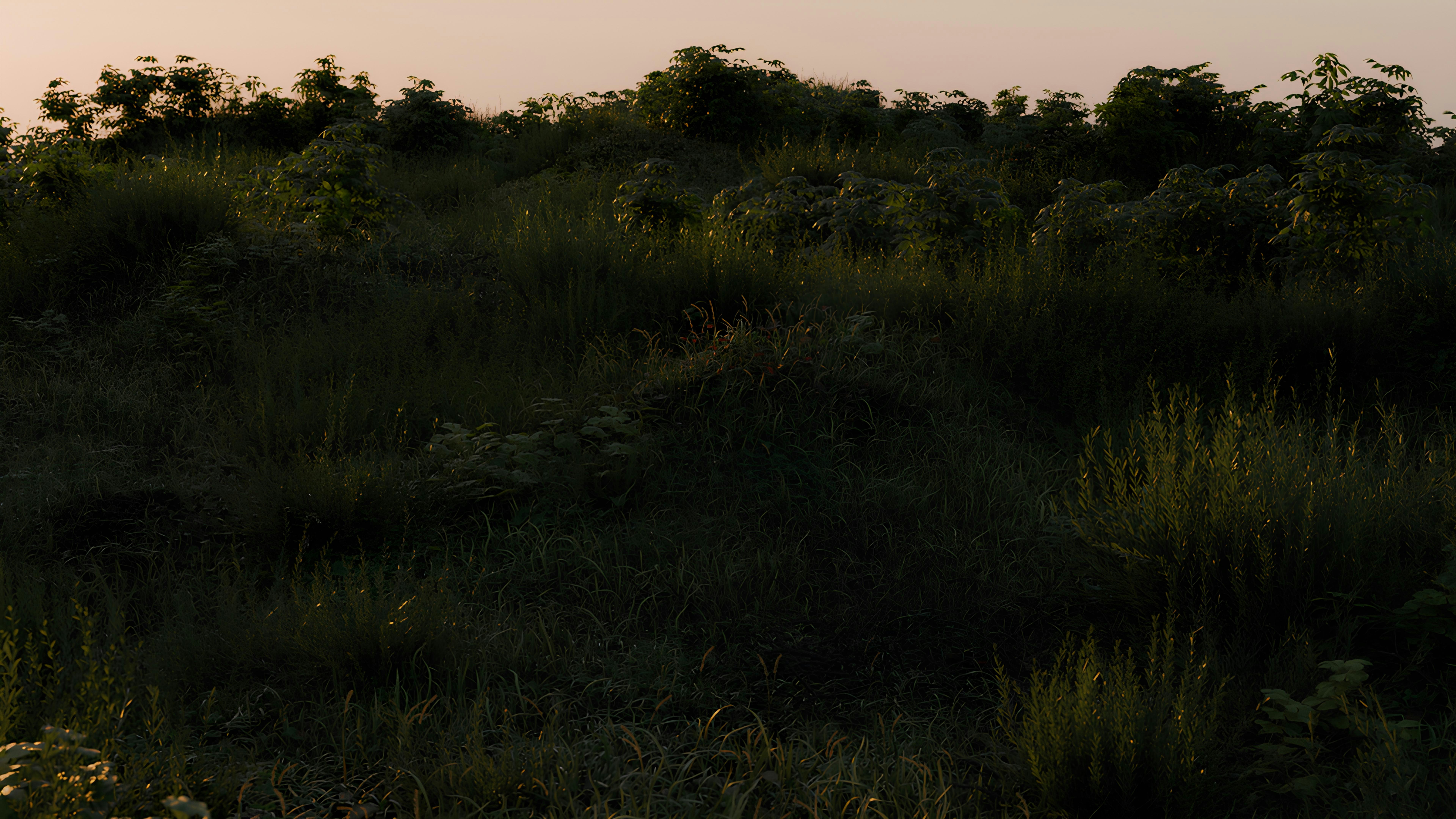 A giraffe standing on top of a lush green hillside