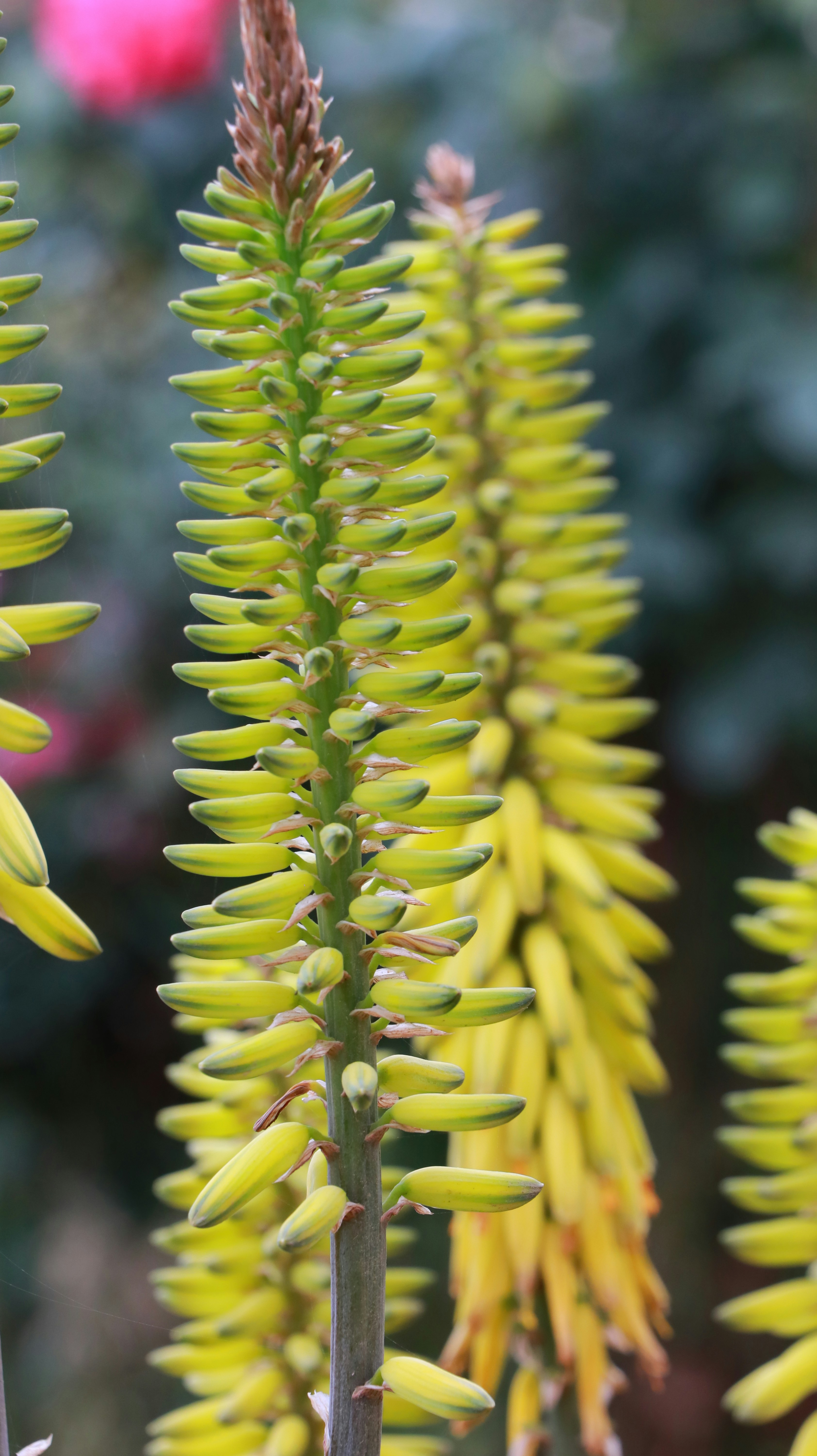 Photo by jack_harbieh