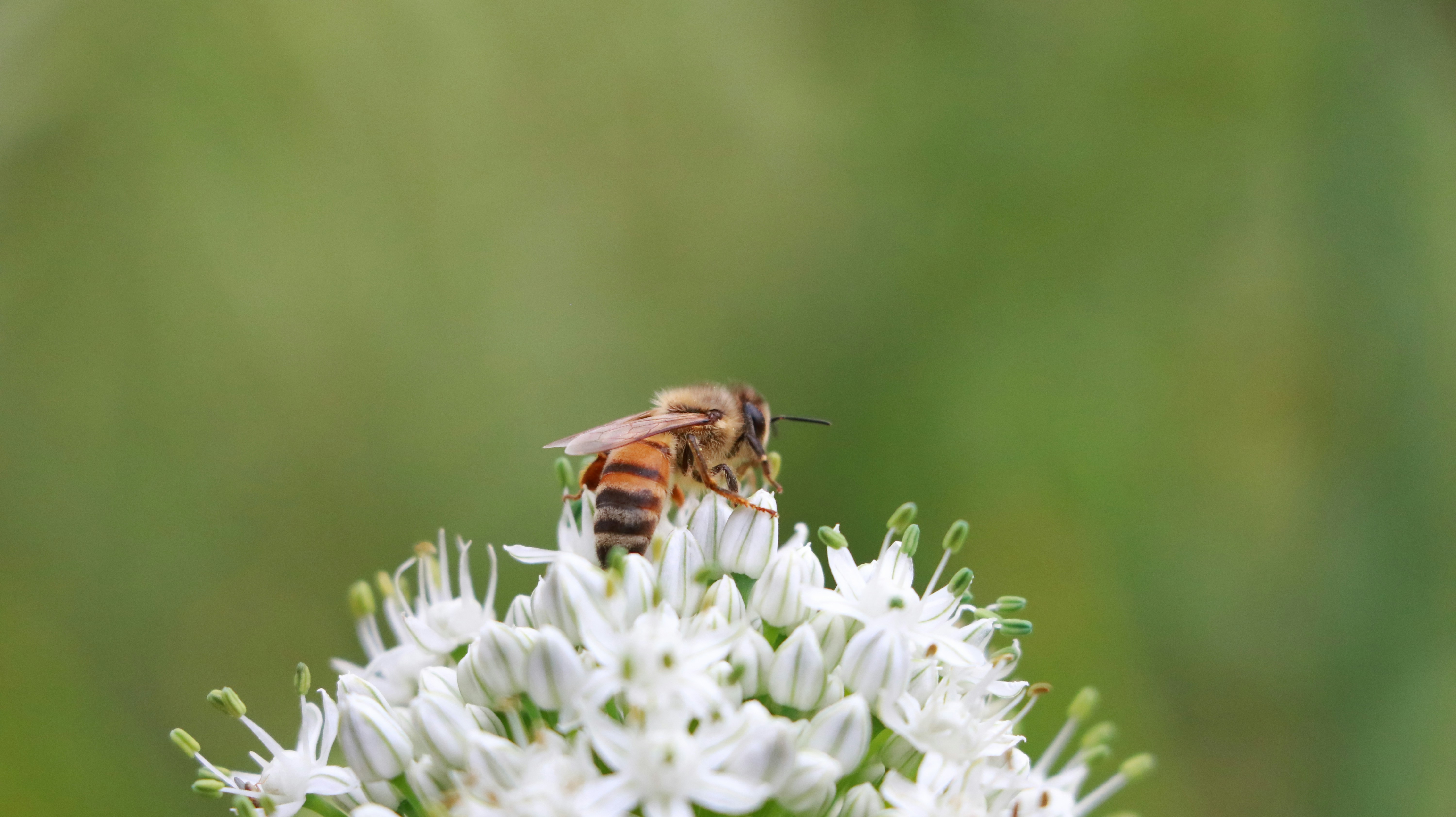 Photo by jack_harbieh