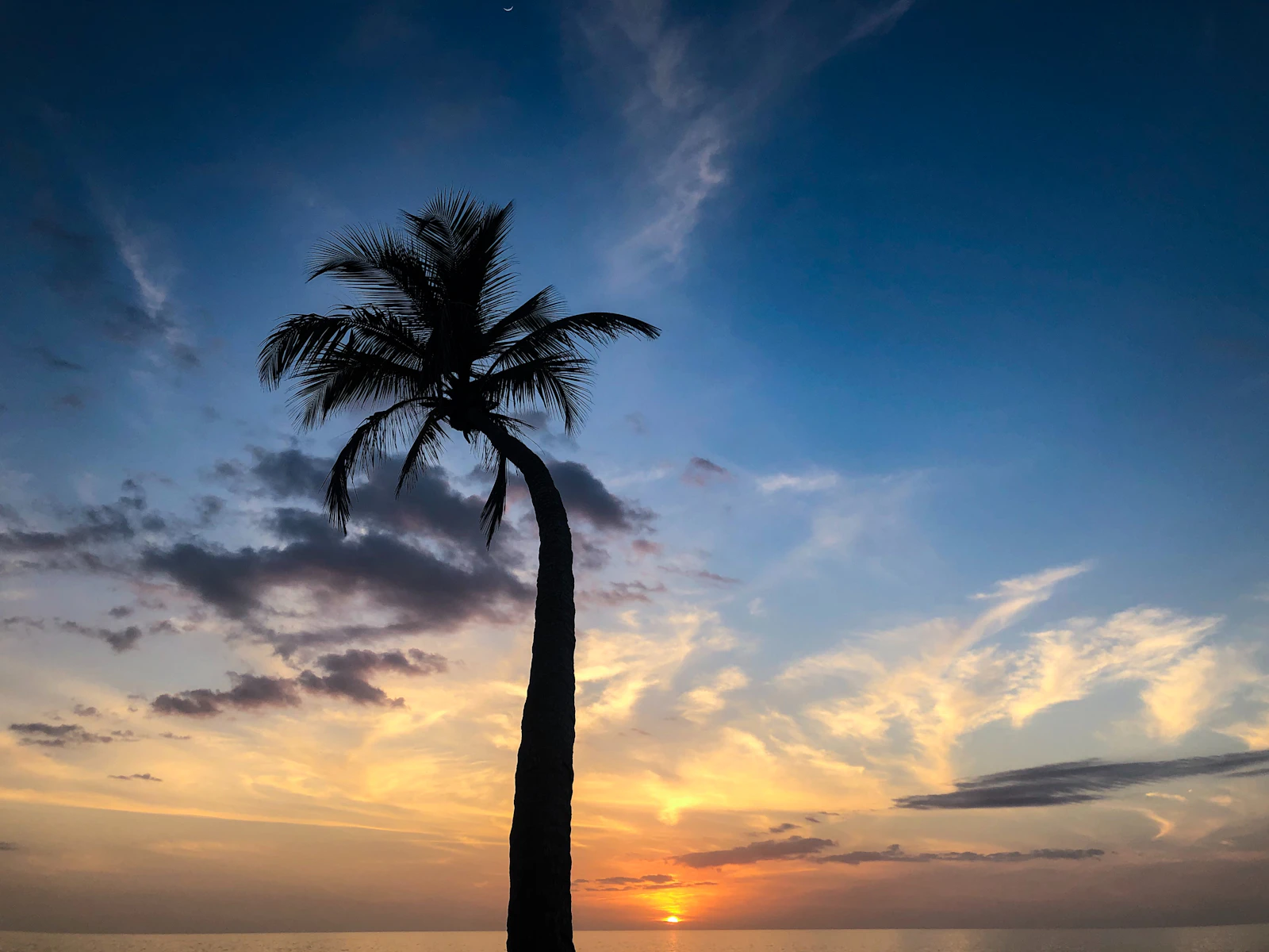 The Ritz-Carlton Golf Resort, Naples (Tiburón)