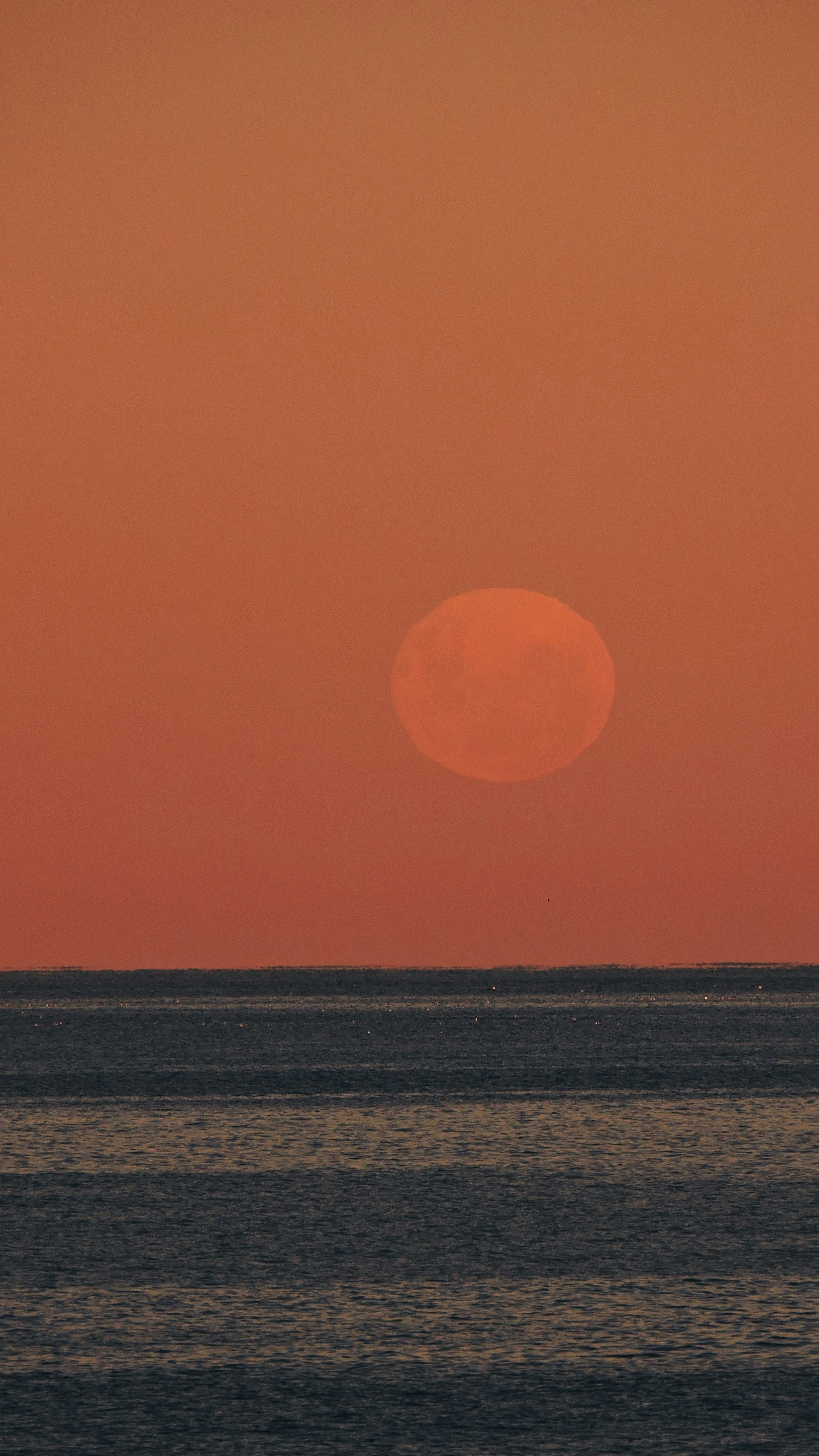 Photo by valentino97