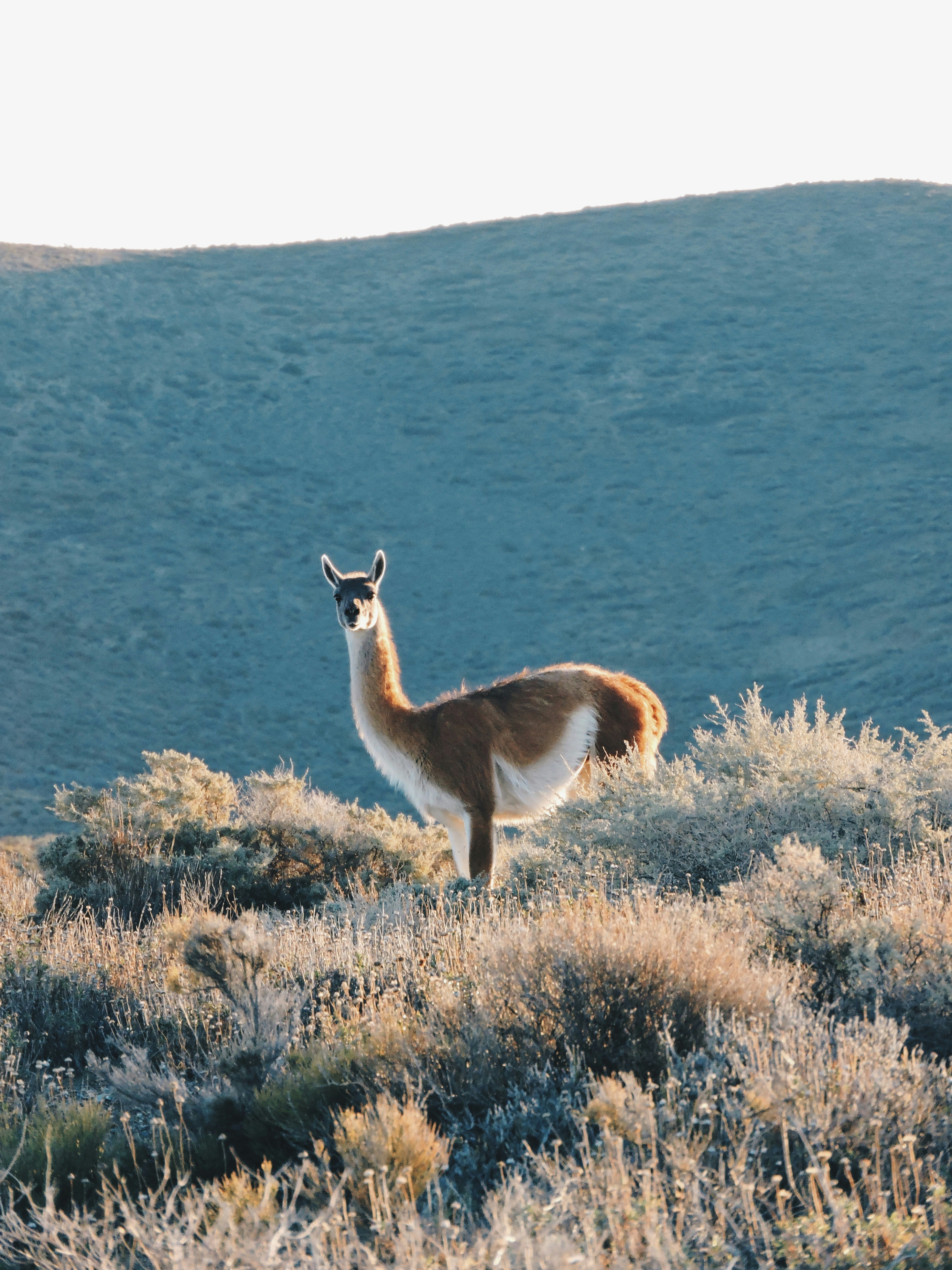 Photo by valentino97