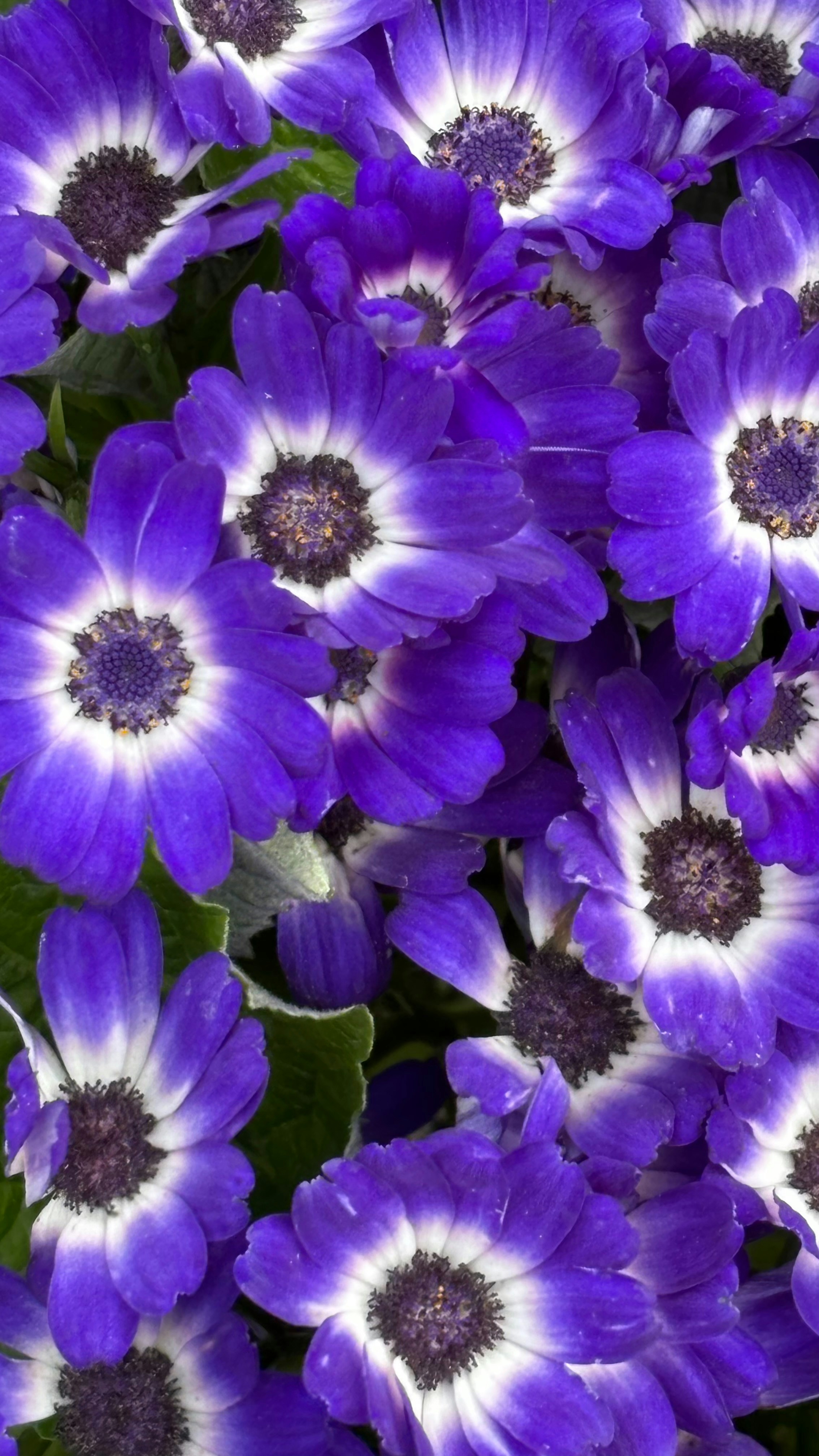 Photo by mohammadbabaian