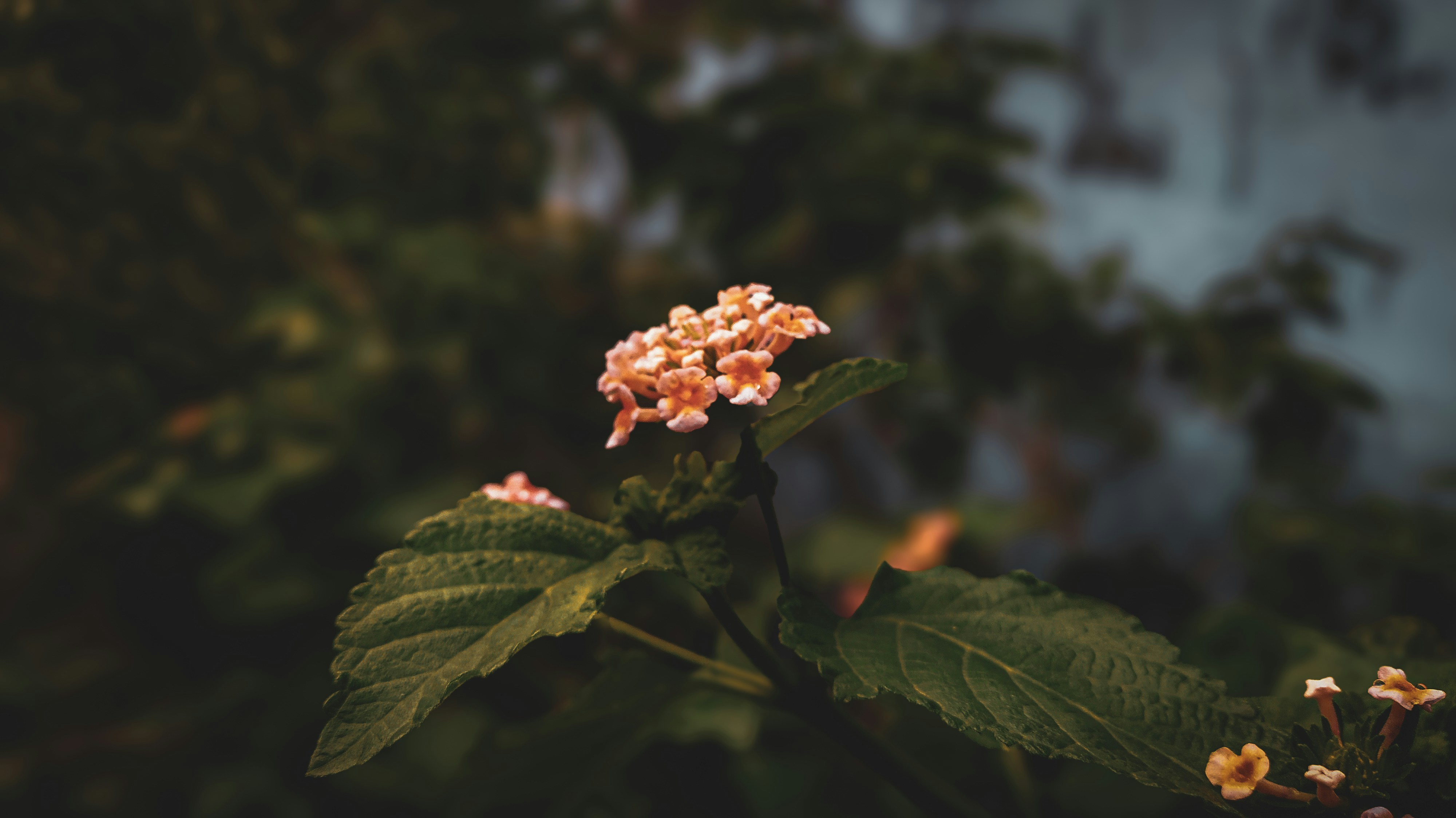 Photo by theclickfilms