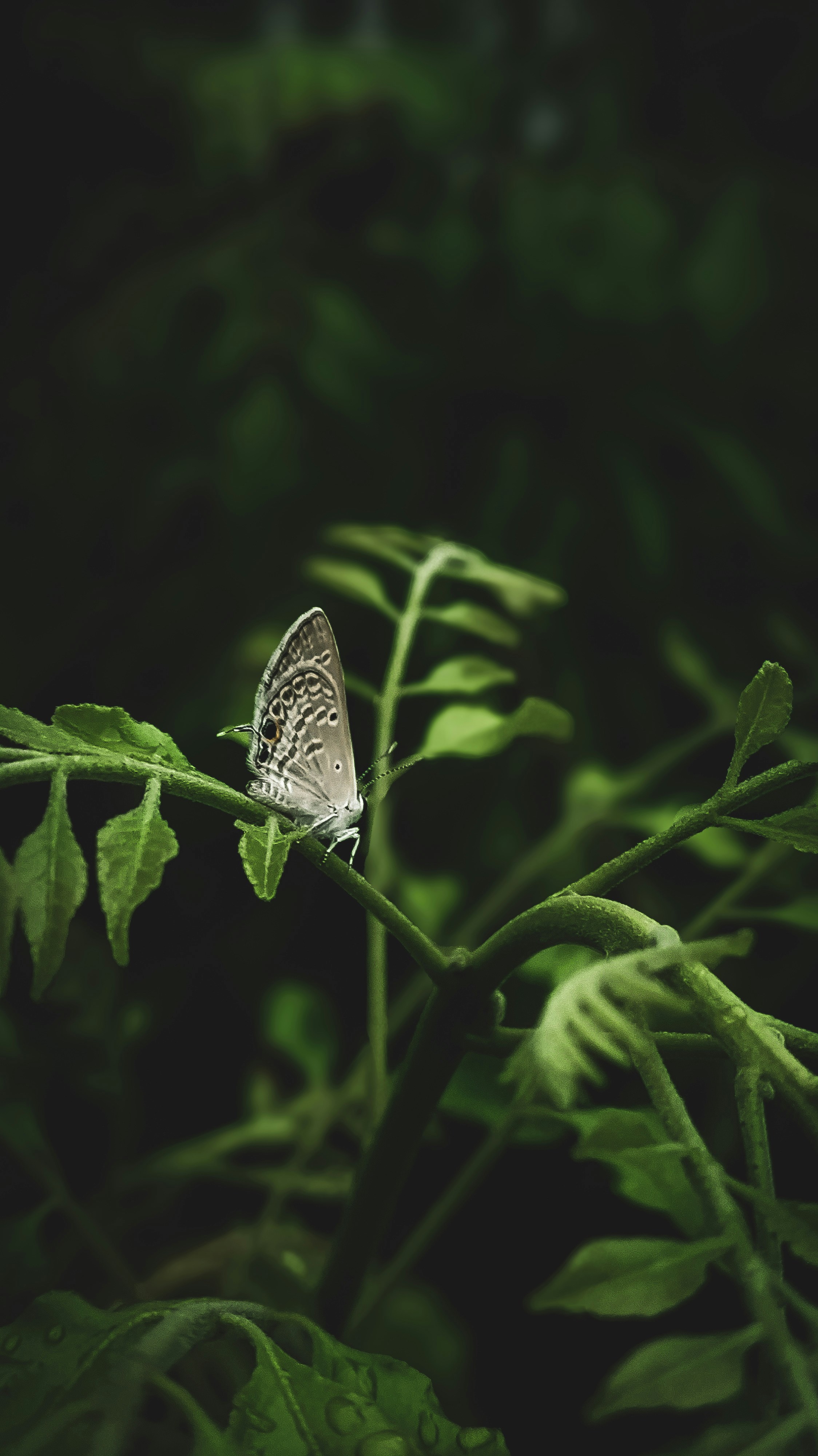 Photo by theclickfilms