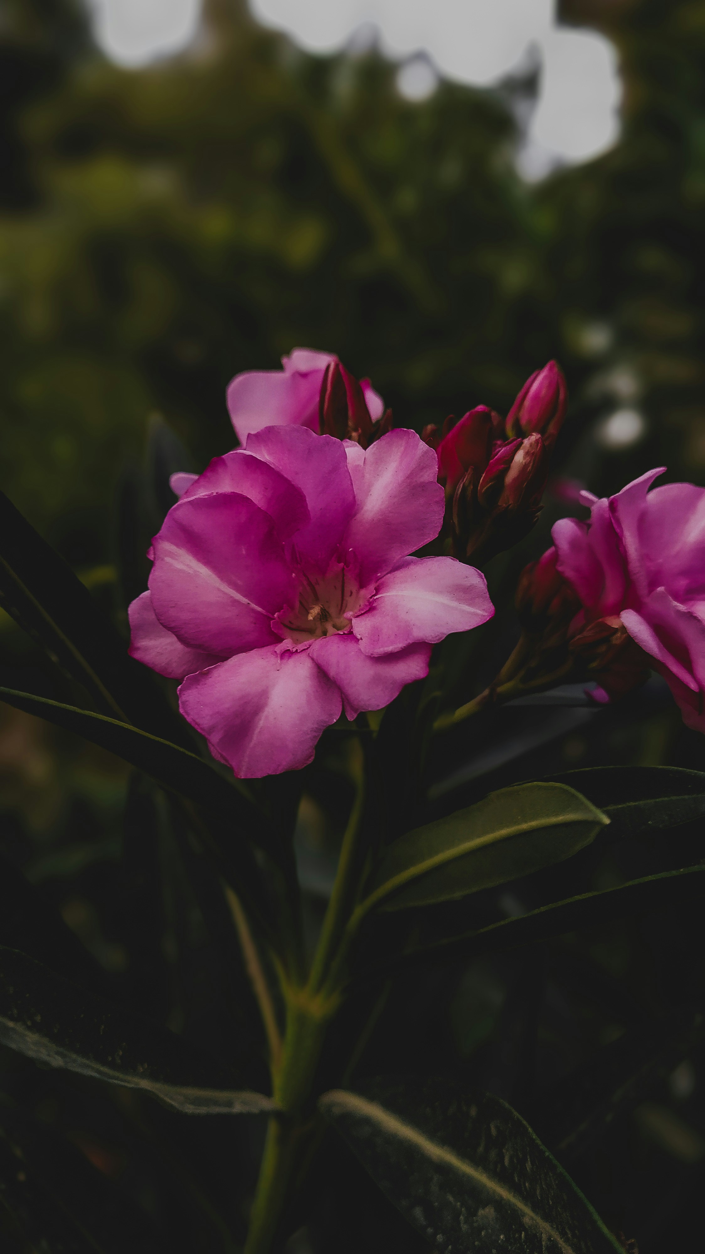 Photo by theclickfilms