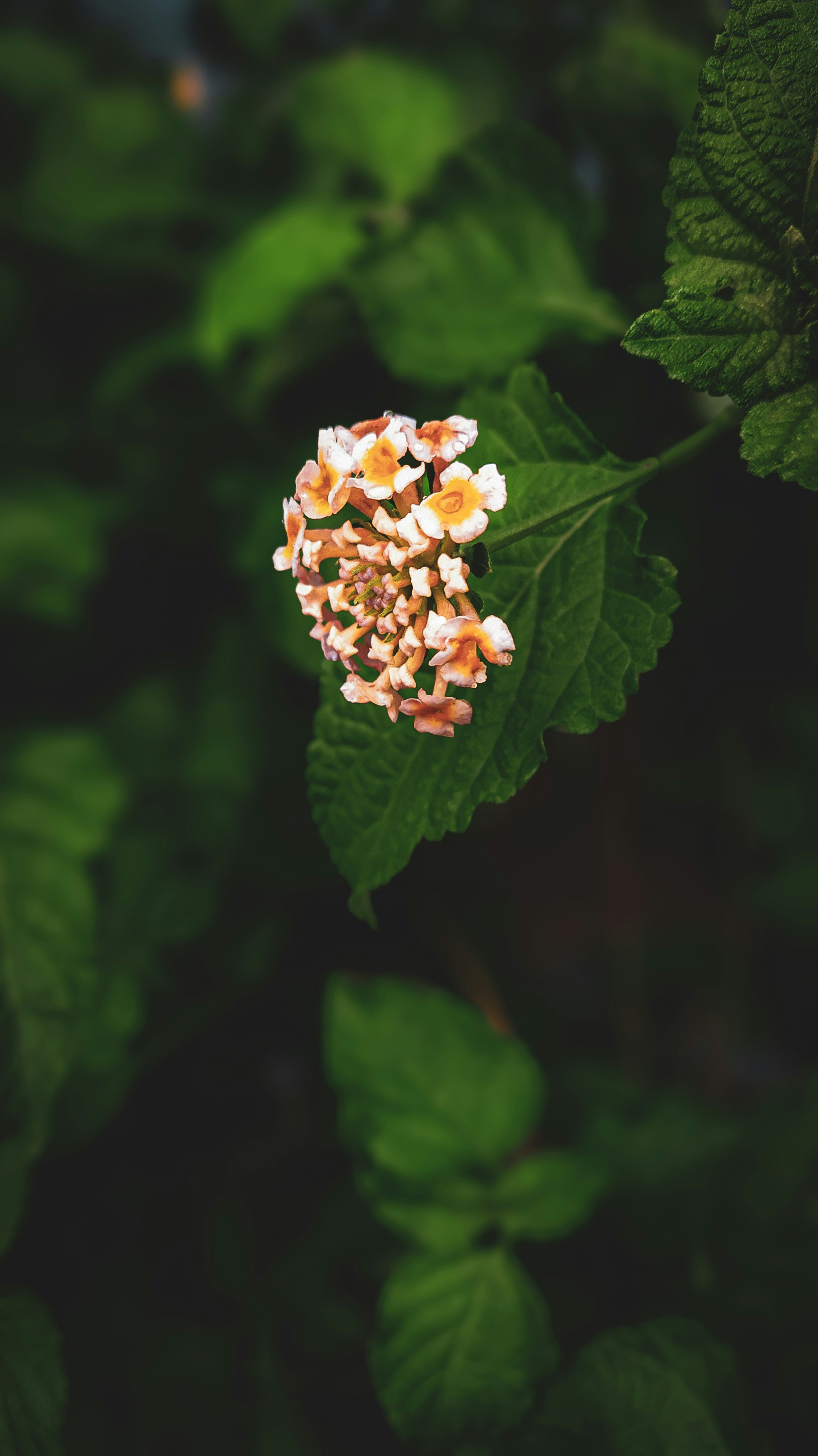 Photo by theclickfilms