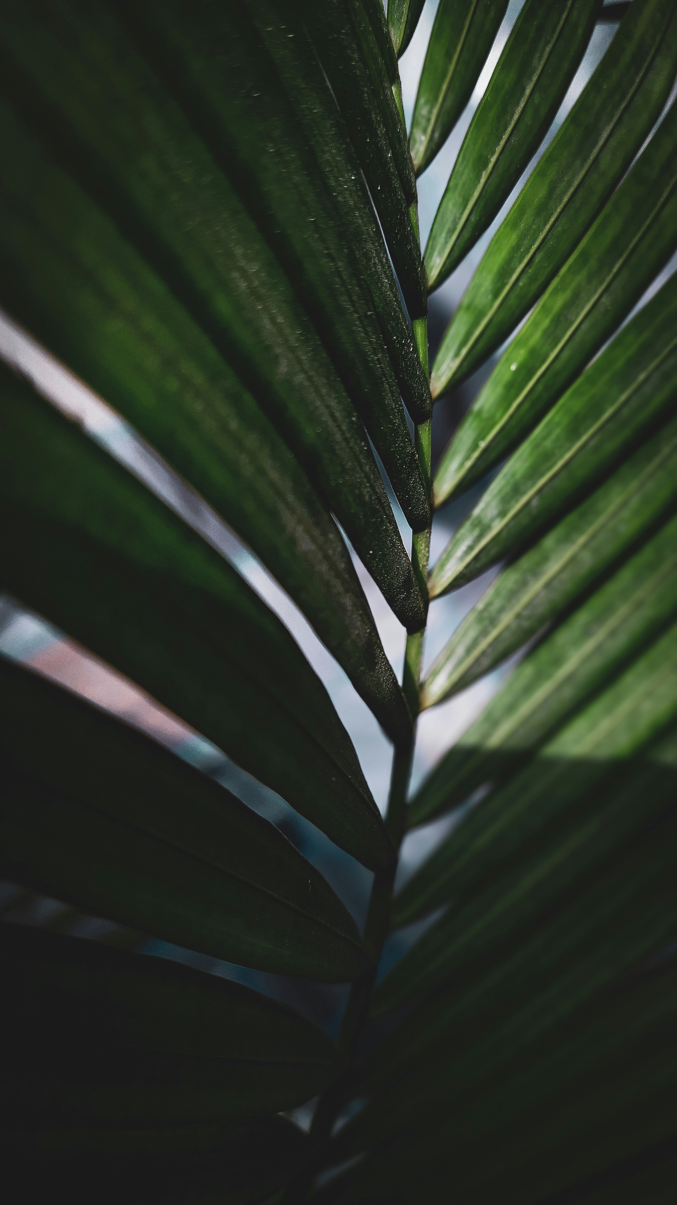 Photo by theclickfilms