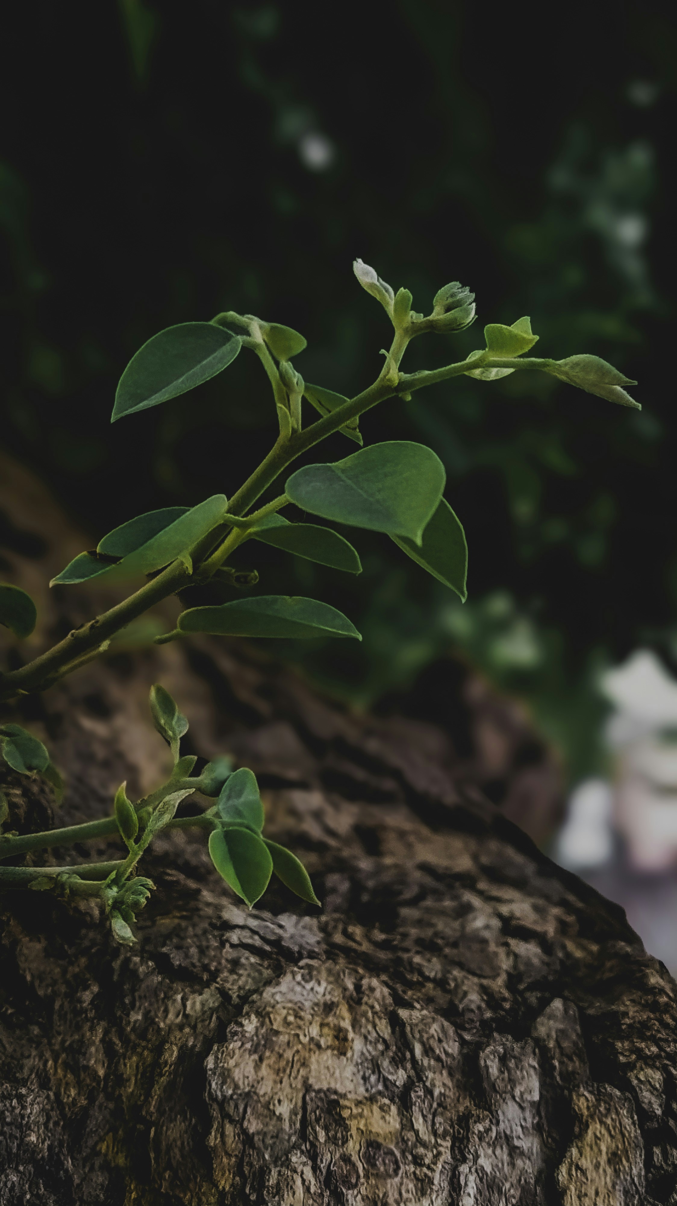 Photo by theclickfilms