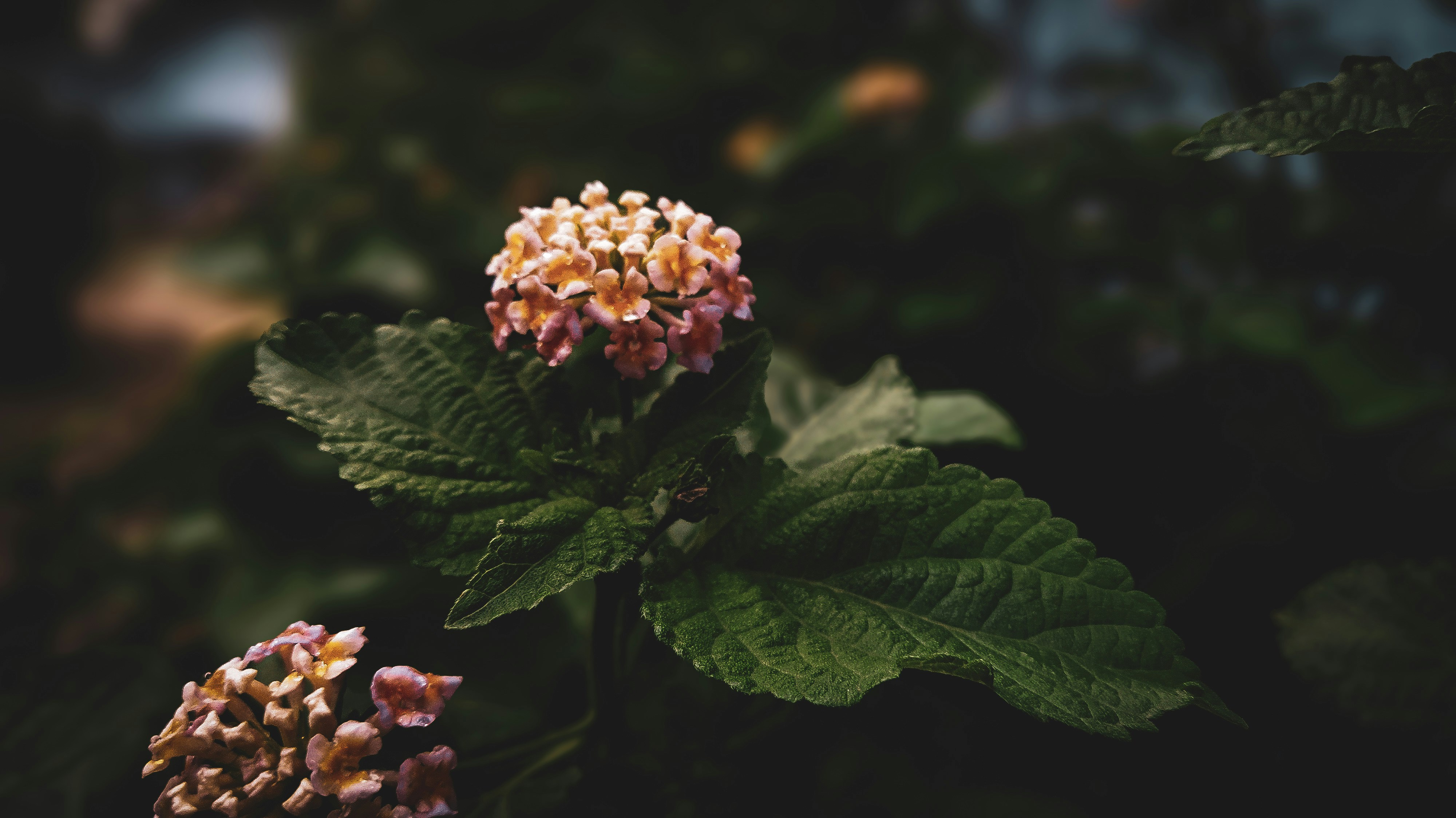 Photo by theclickfilms