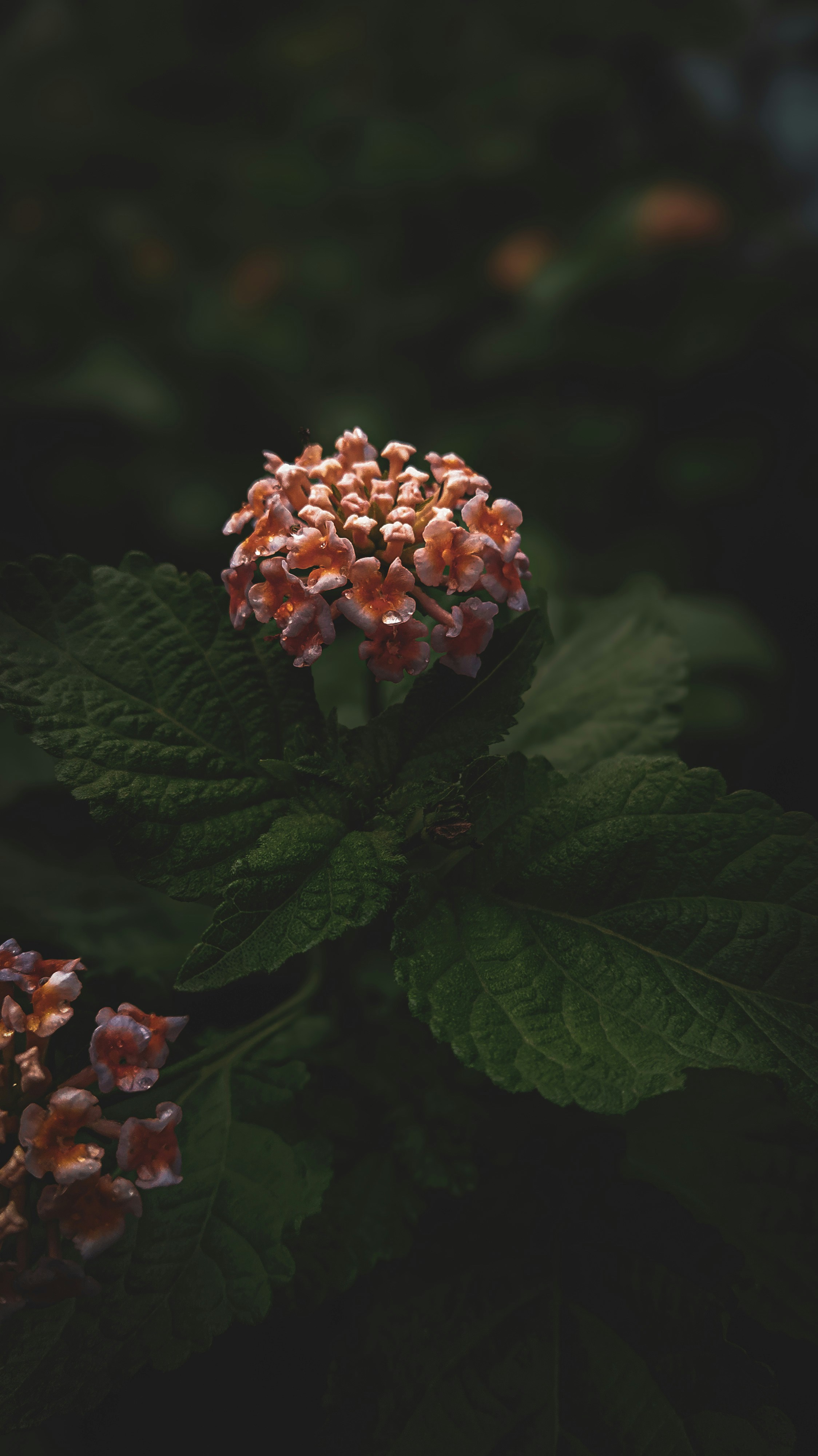 Photo by theclickfilms