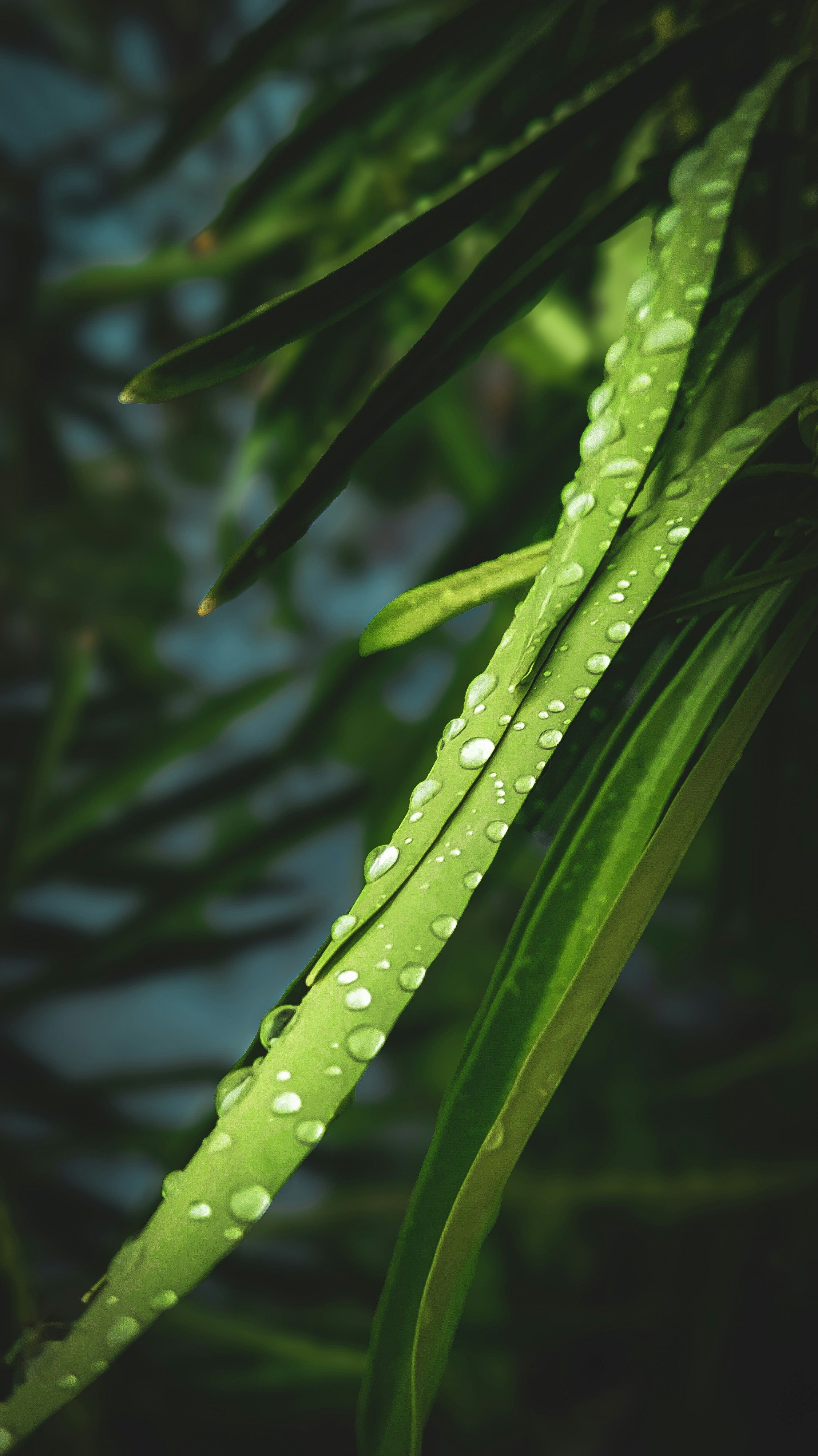 Photo by theclickfilms