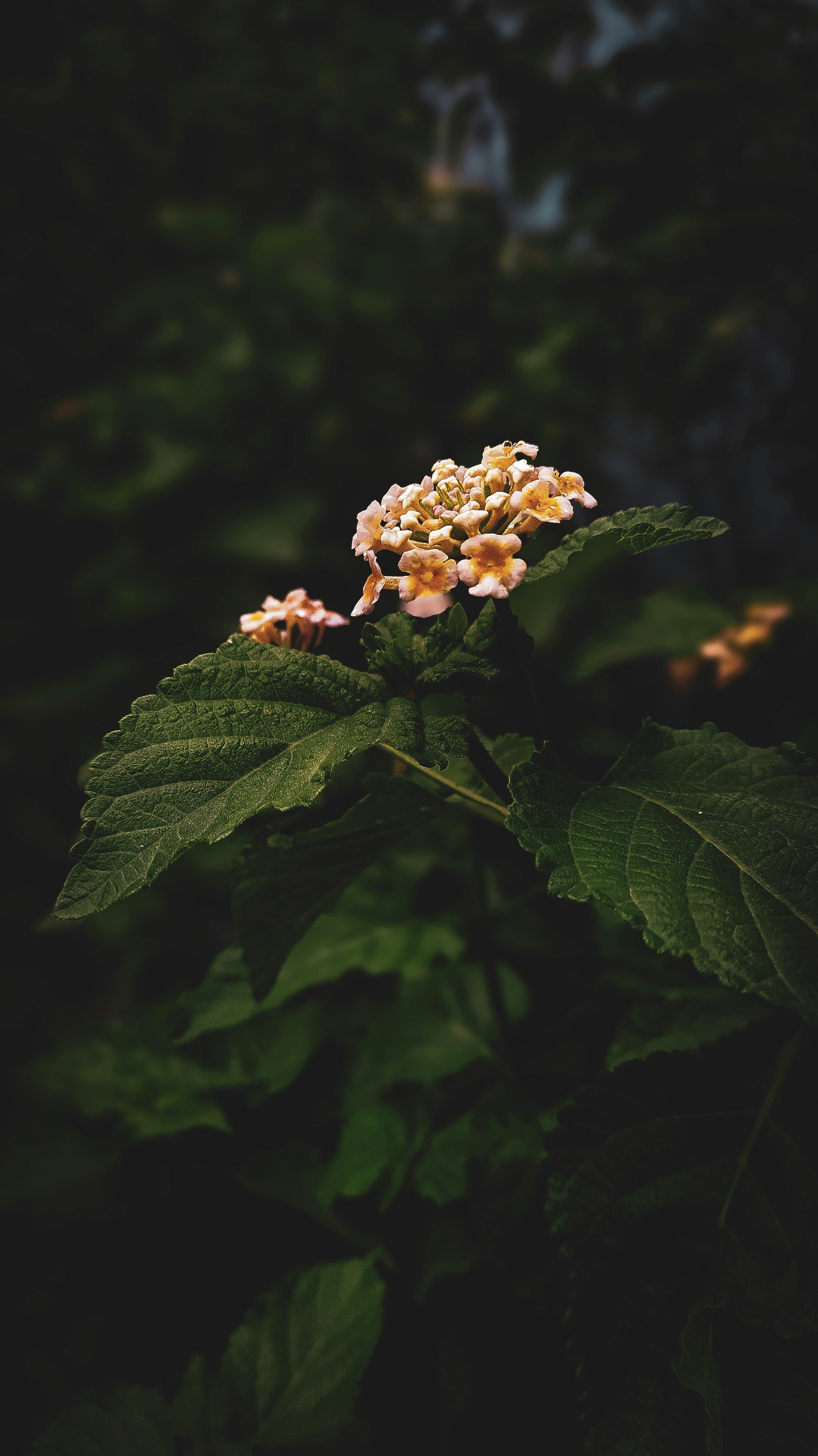 Photo by theclickfilms