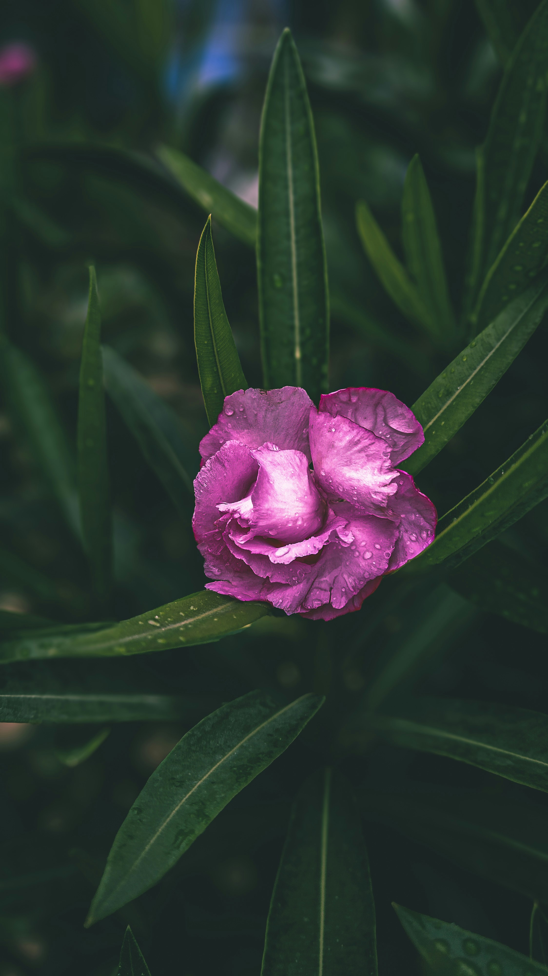 Photo by theclickfilms