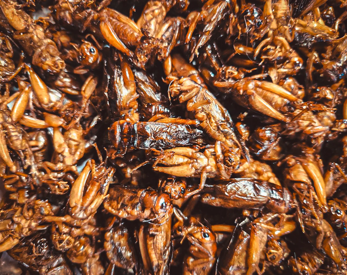 Cut CRM Update Time for Pest Control Teams [2026 Playbook]