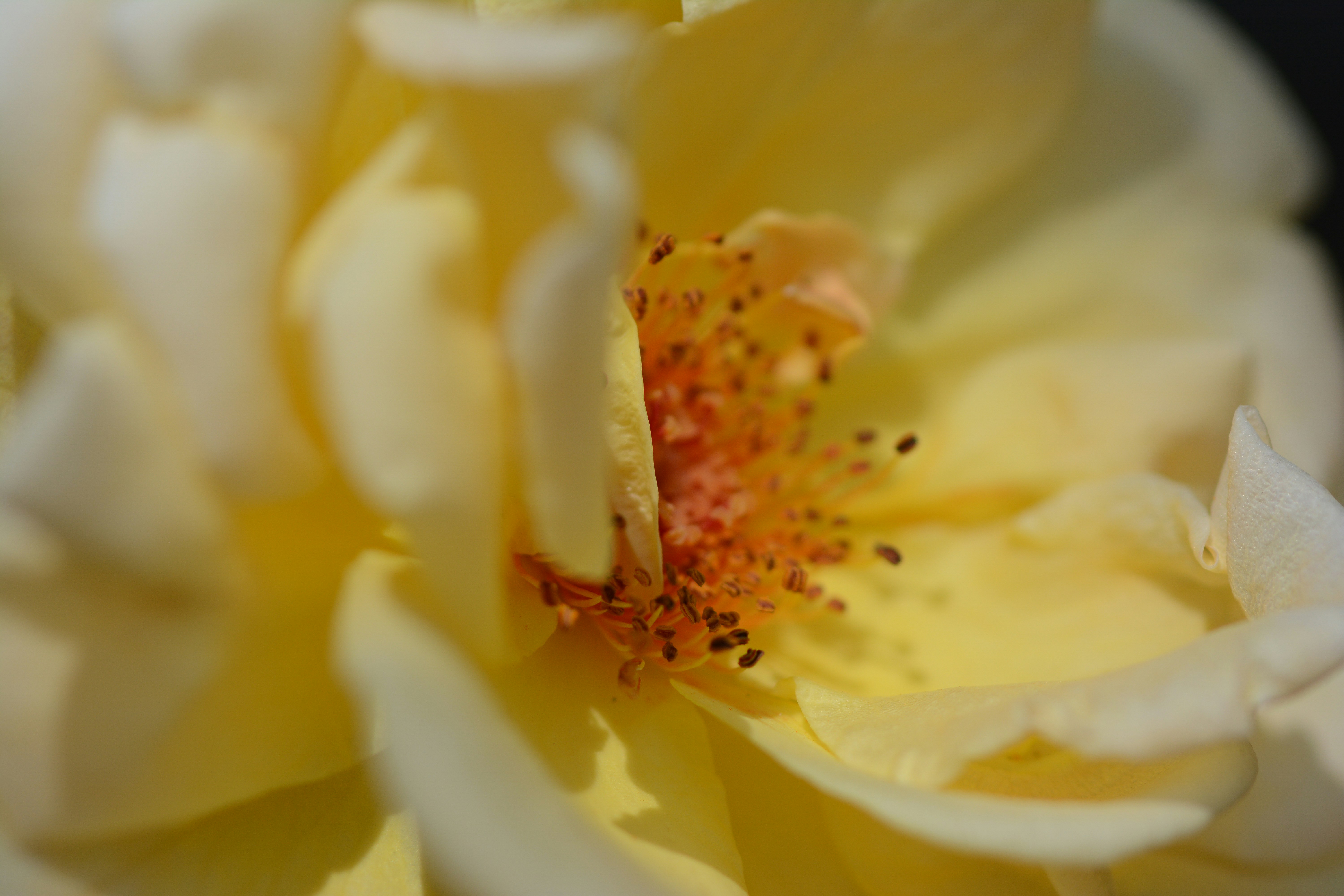 Photo by kelleymain