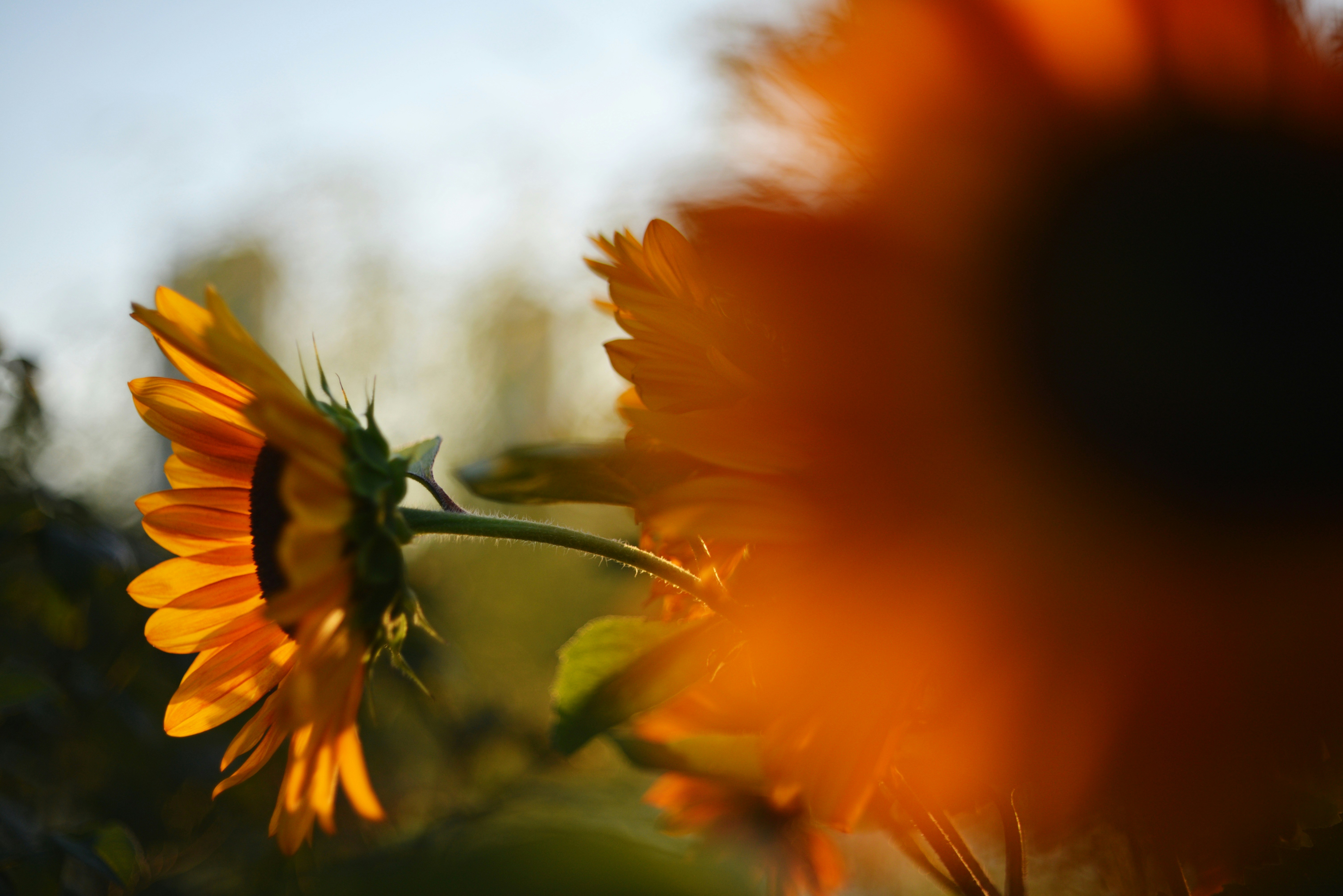 Photo by cherstve_pechivo