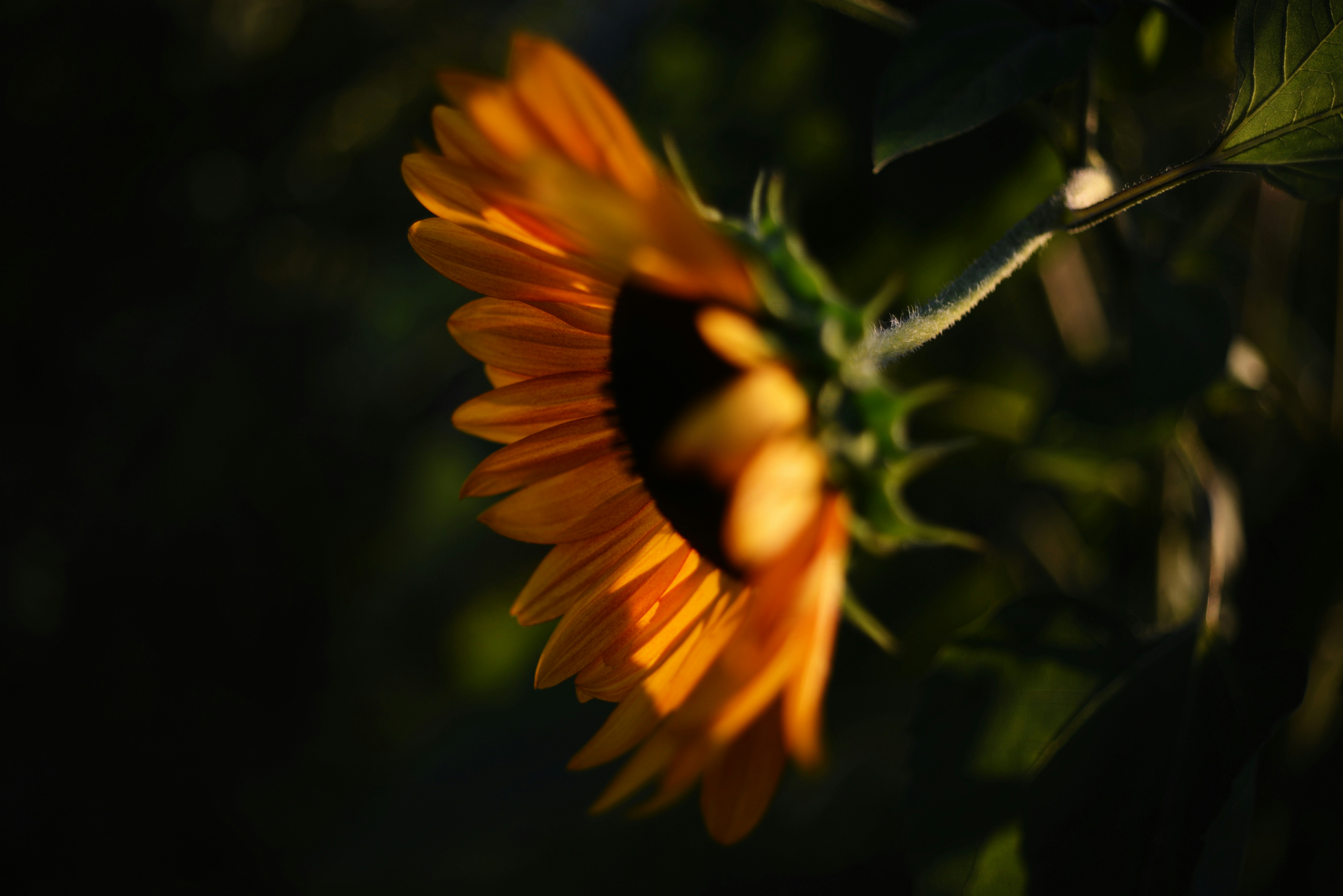 Photo by cherstve_pechivo