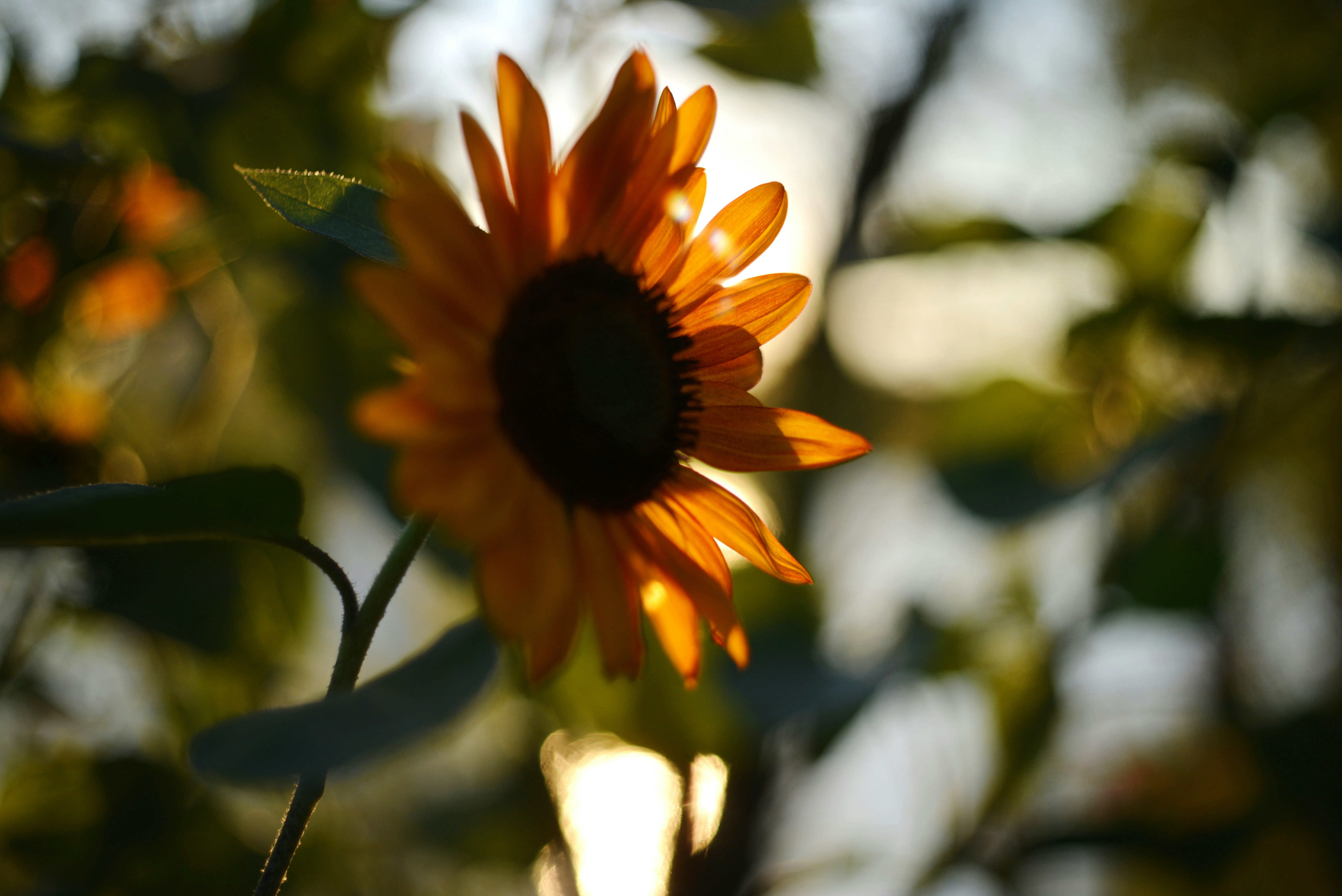 Photo by cherstve_pechivo