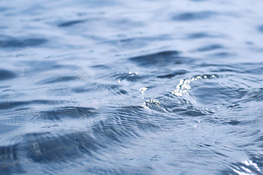 A close up of the water surface of a body of water
