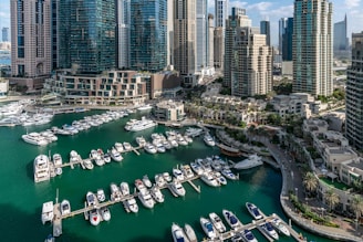 A large marina with many boats in it