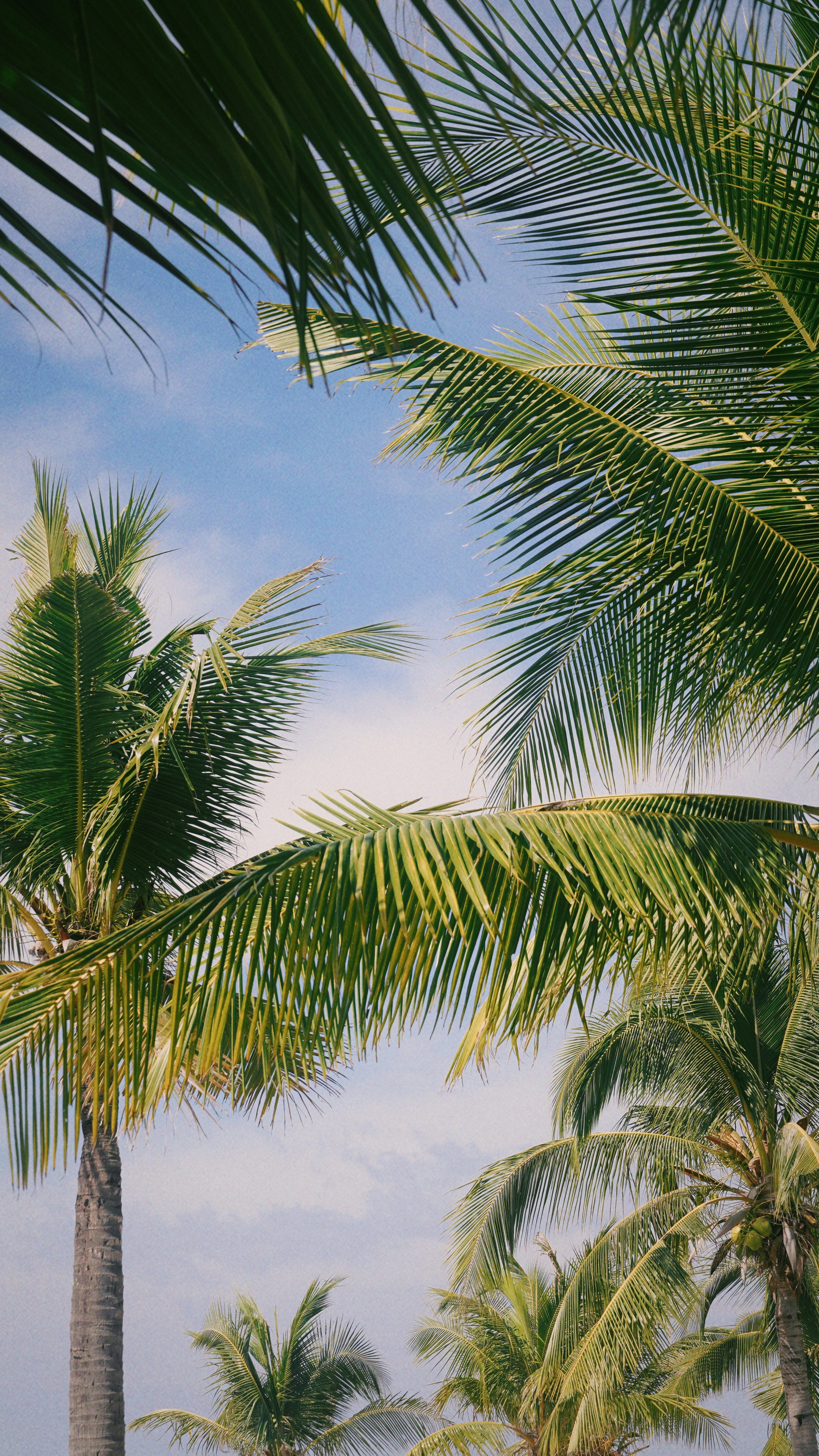 Photo by fenmeihandai