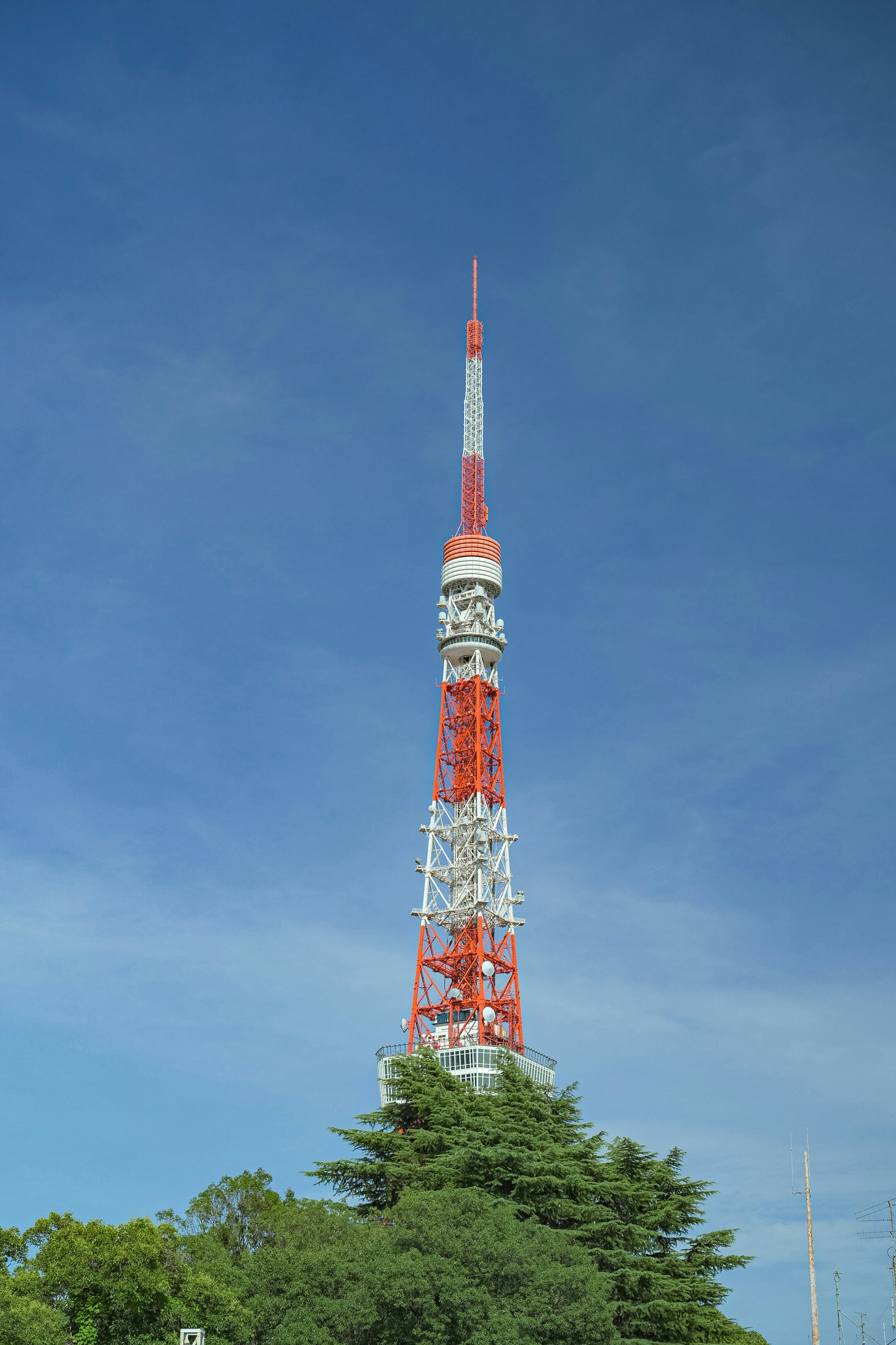 Photo by pabroyumar16