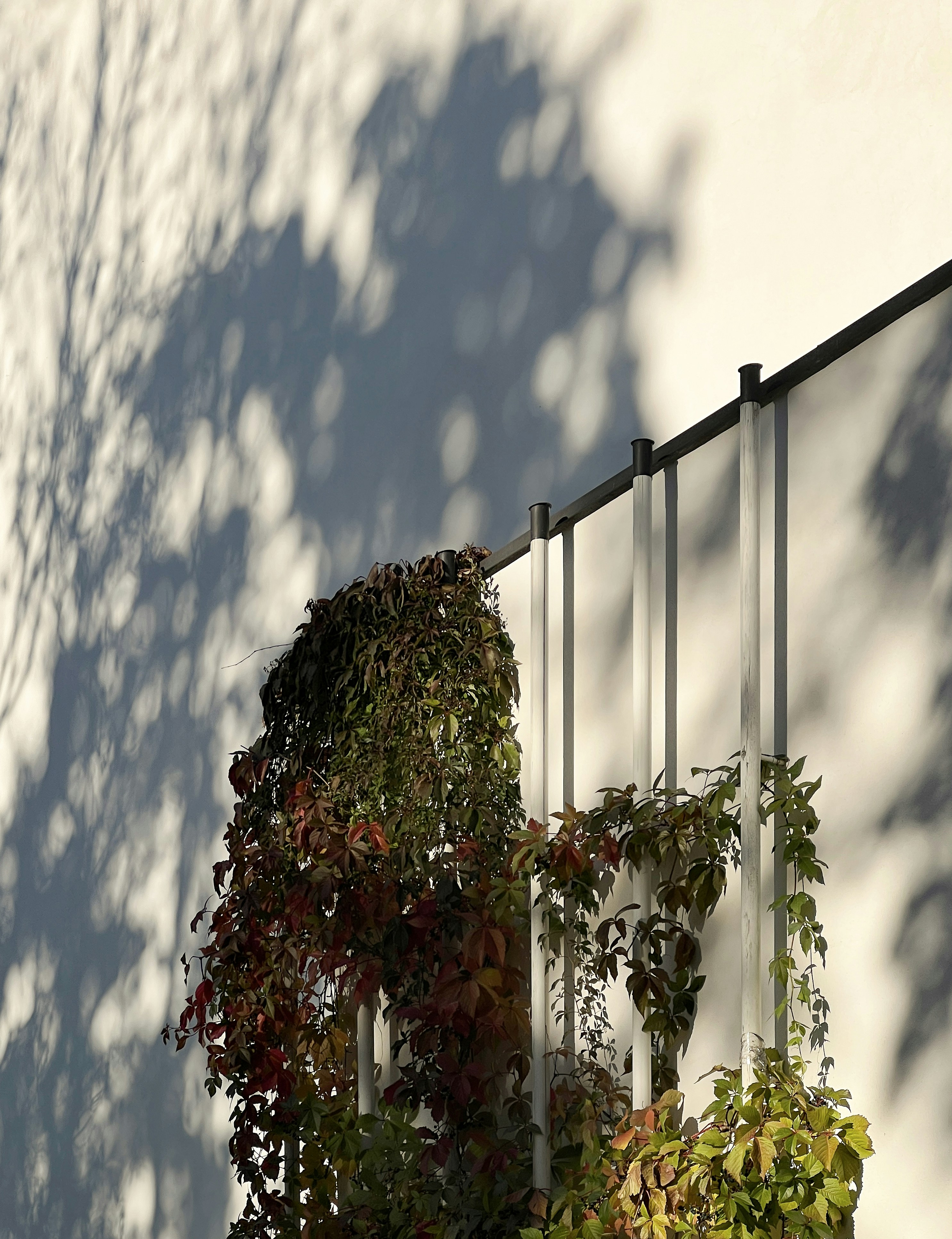 A shadow of a building on the side of a building