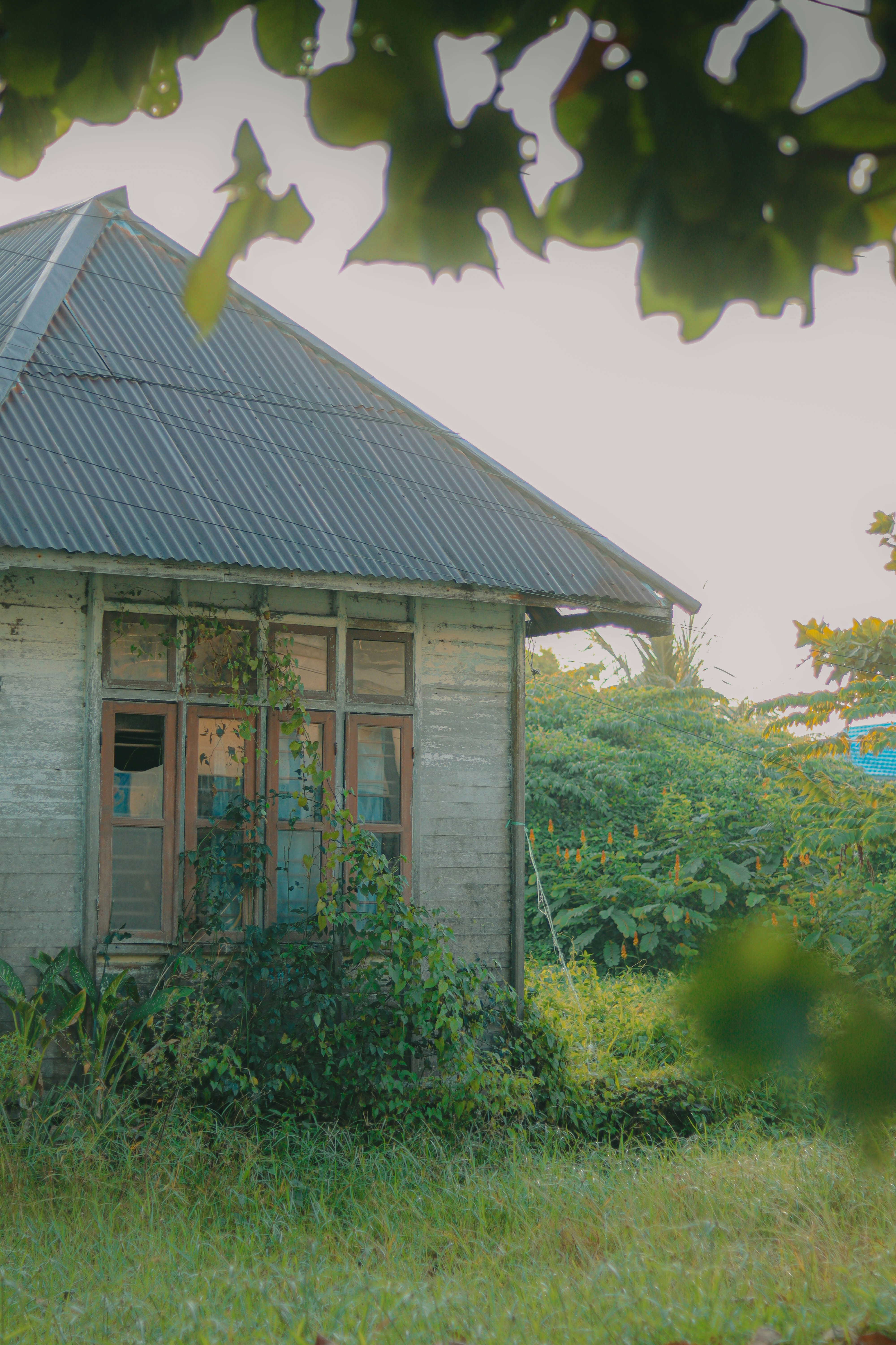 Photo by satriawardhana