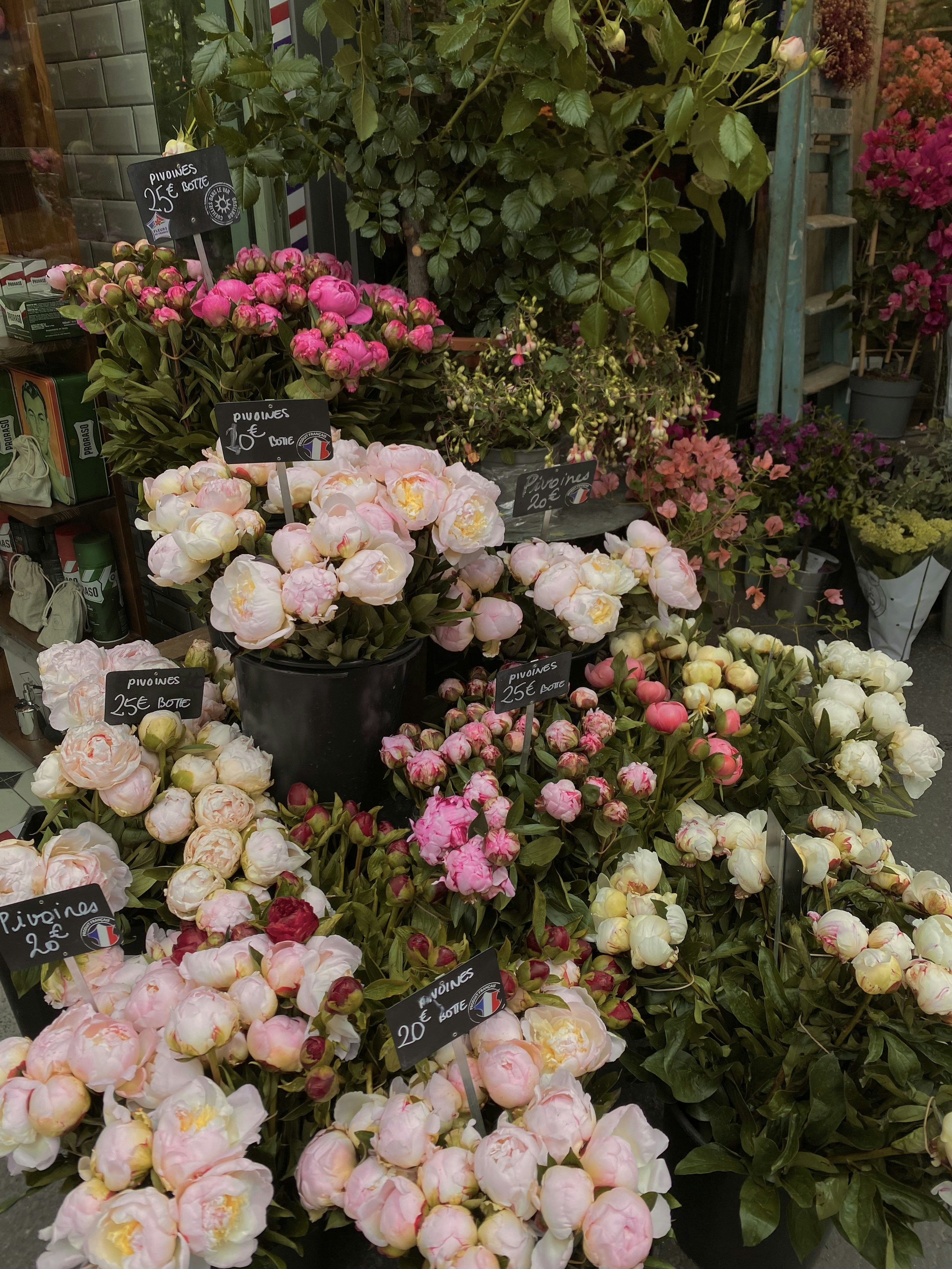 Photo by alix_cuny32