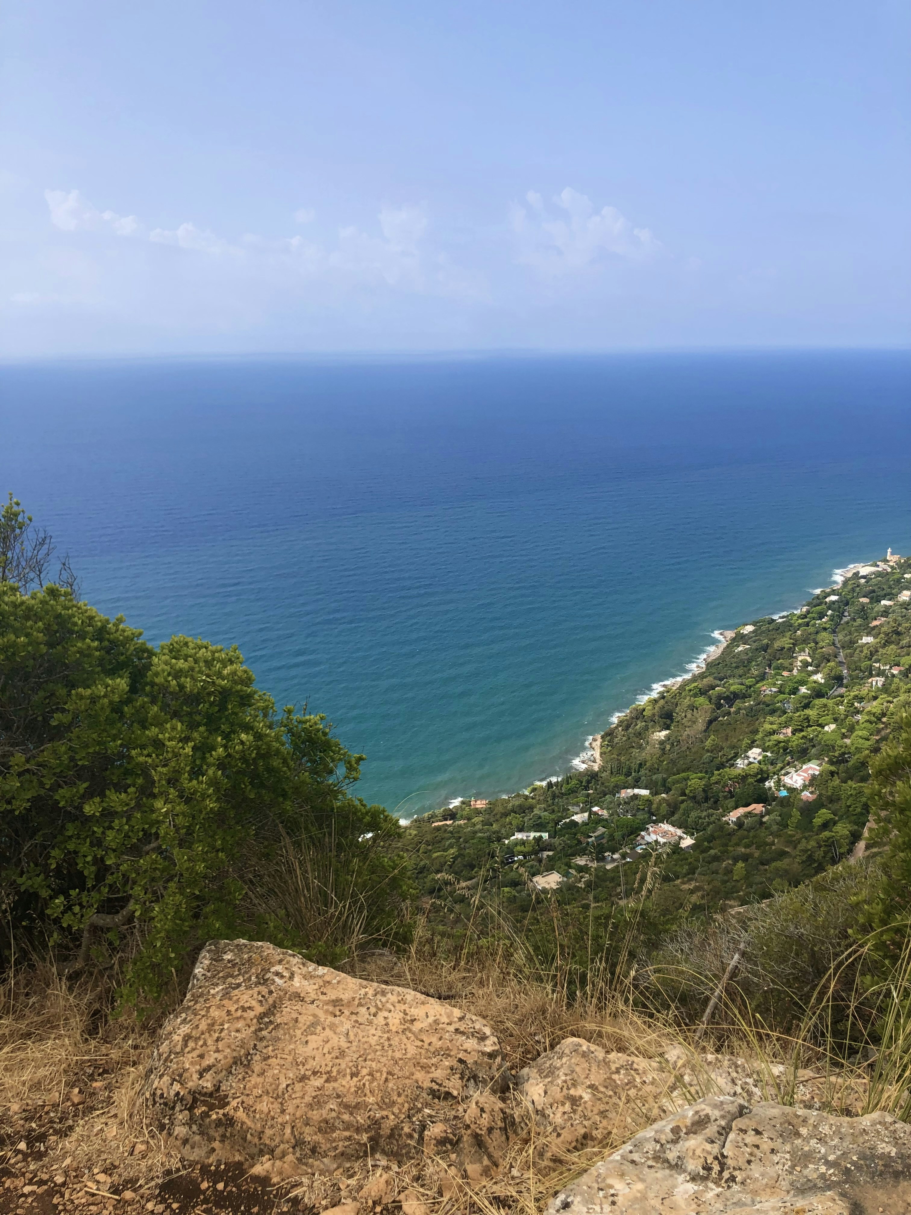 A person looking out over a Caribbean vista