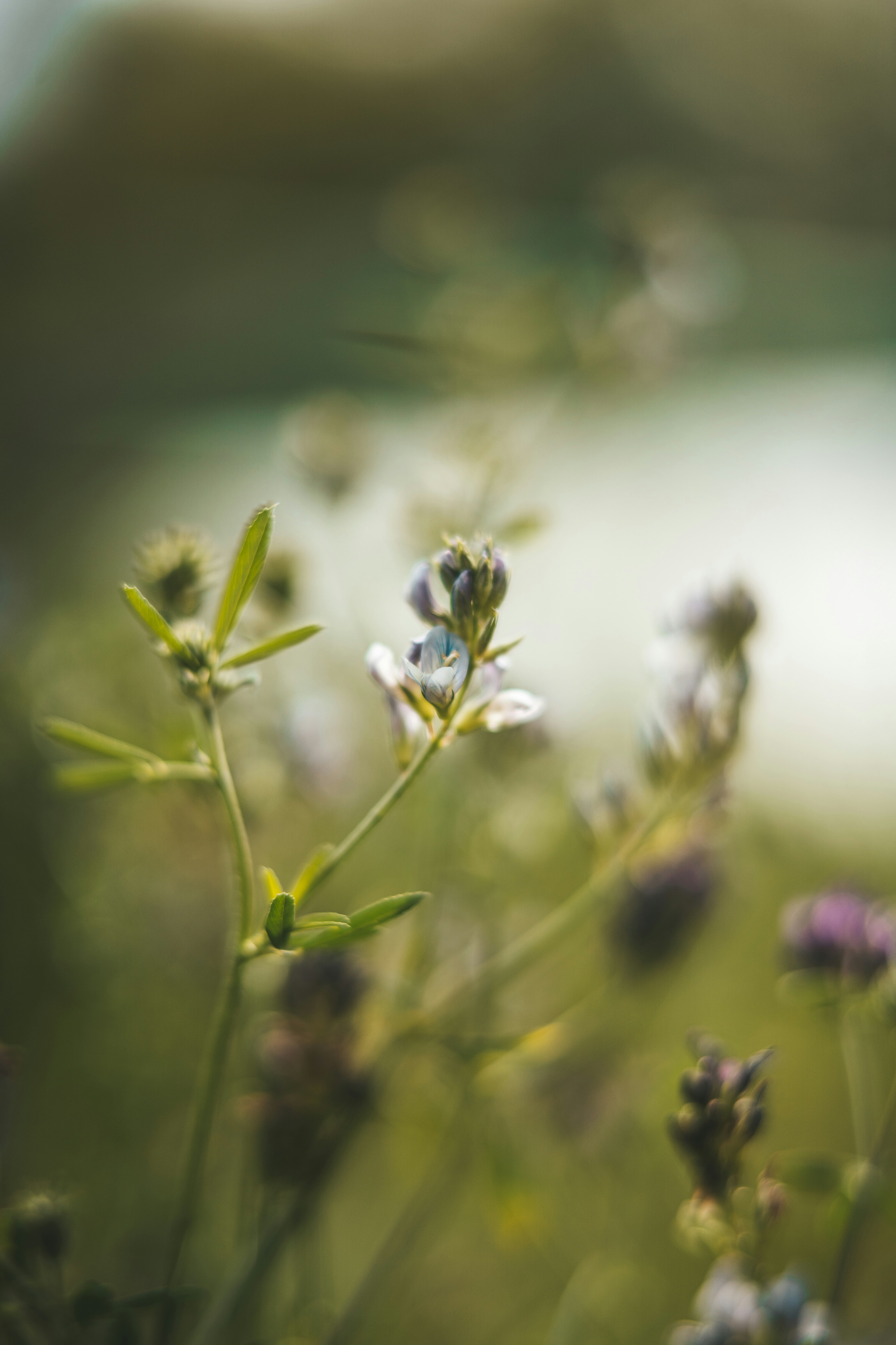 Photo by anamnesis33