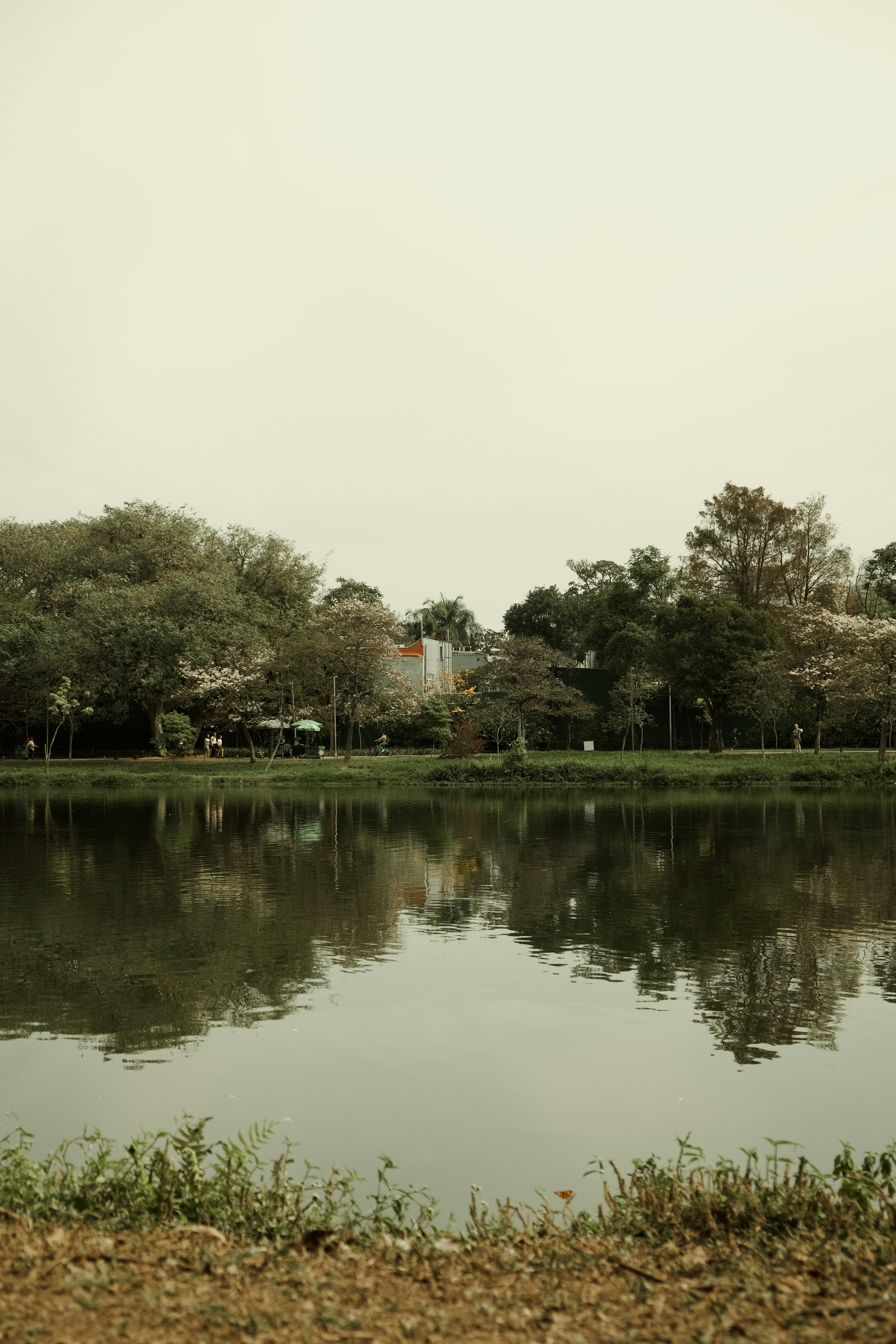 Photo by gabriellemeschini