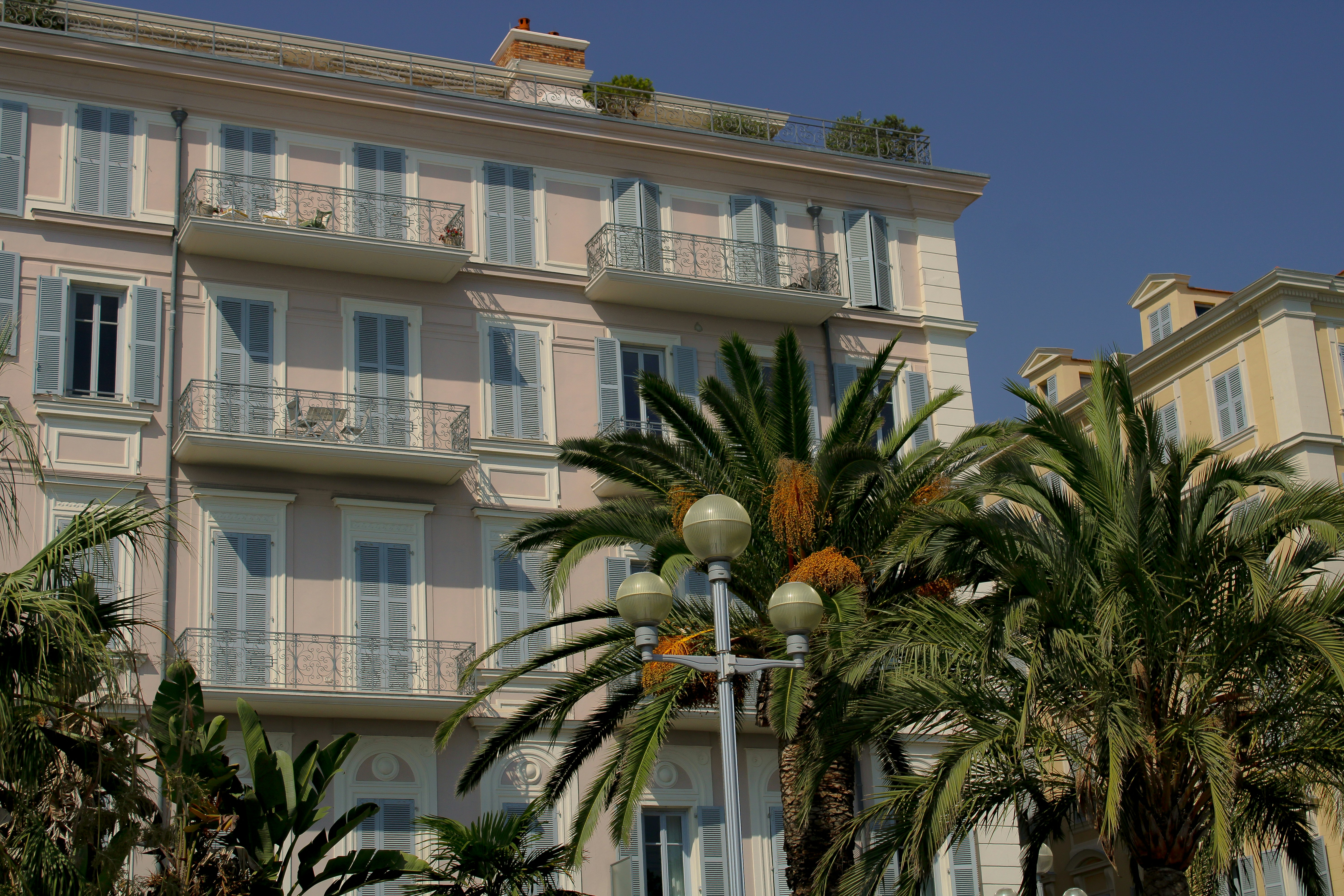 A building with palm trees in front of it