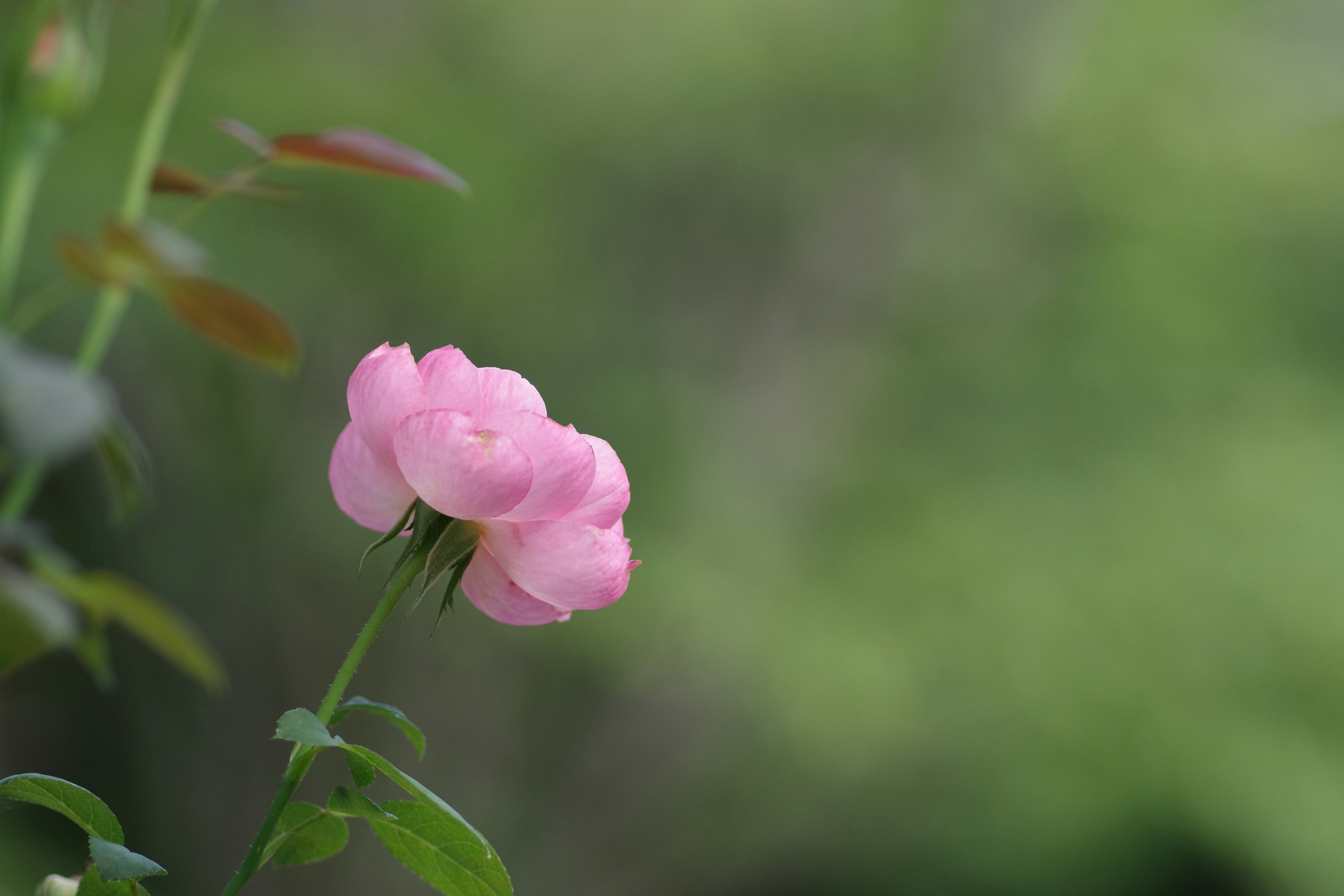 Photo by naopp