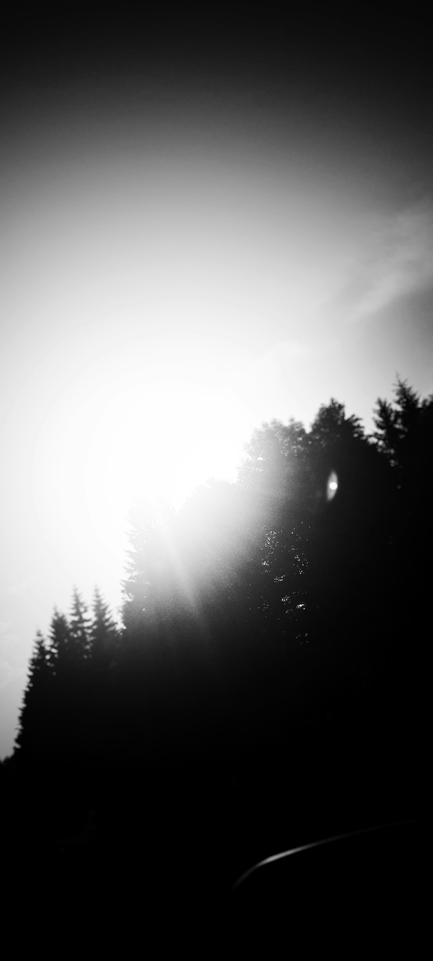 Photo by camelcazacu