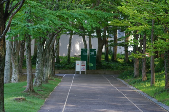 A tennis court surrounded by trees and grass
