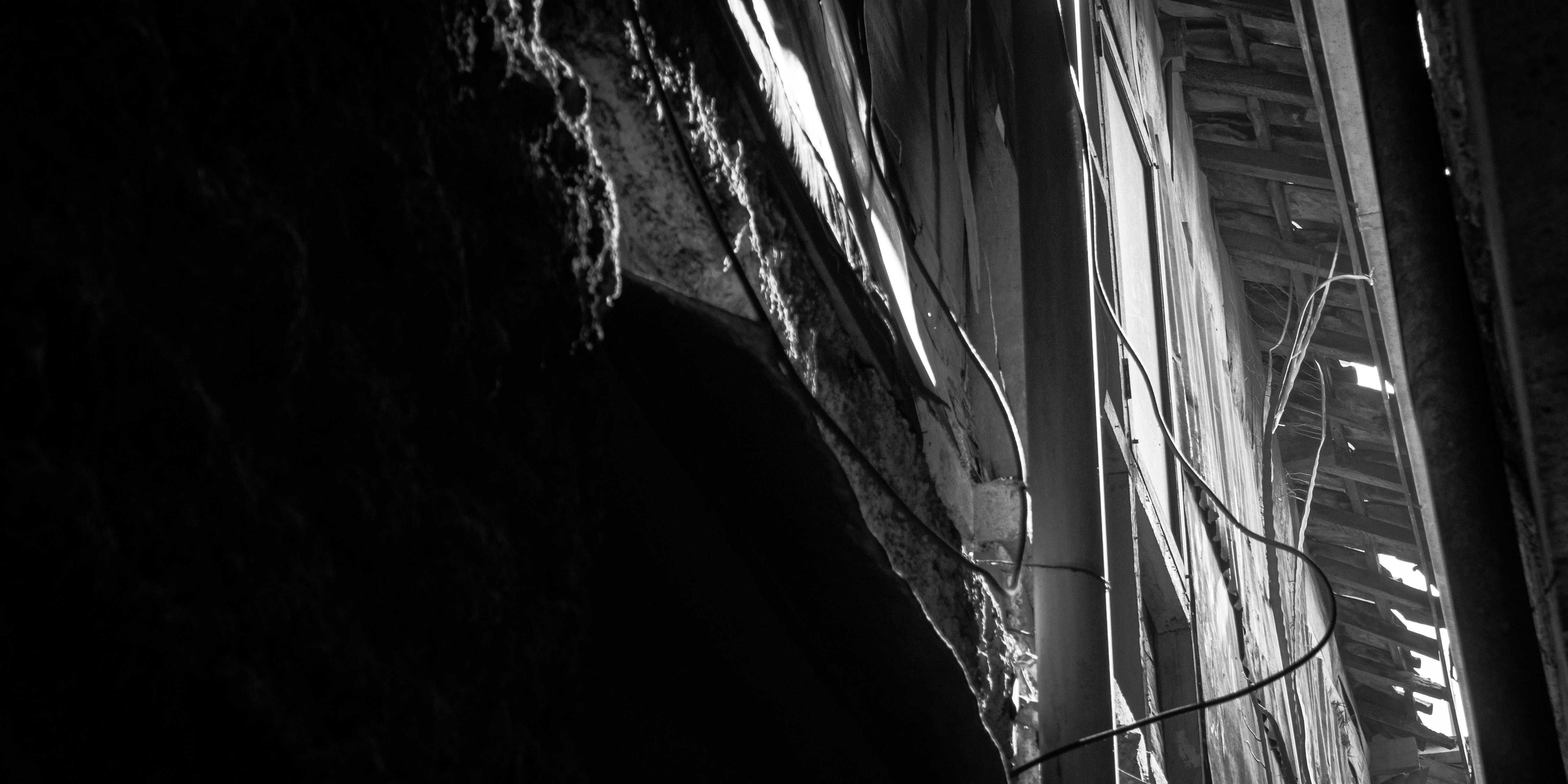 Photo by aletraekaye