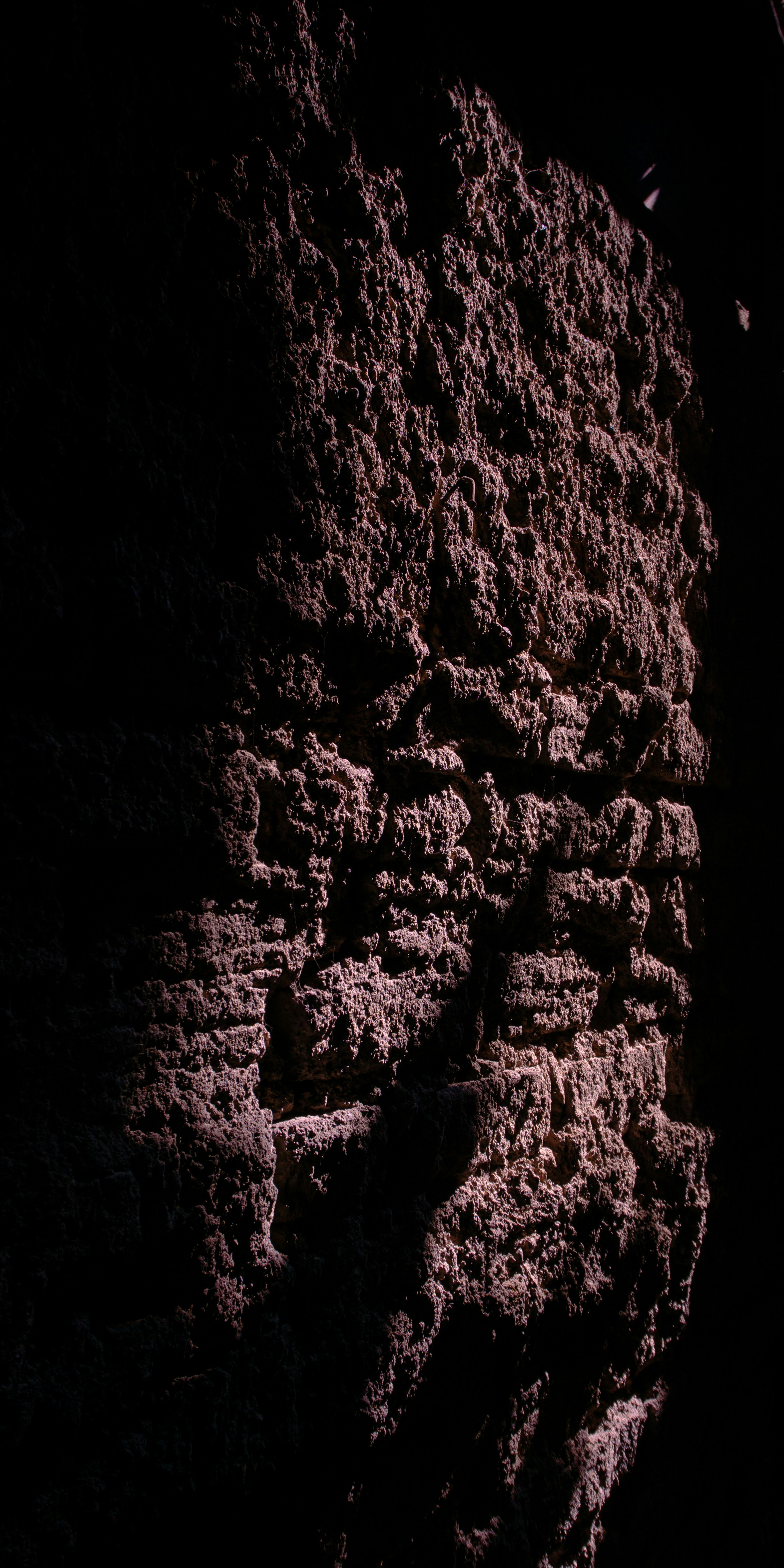 Photo by aletraekaye