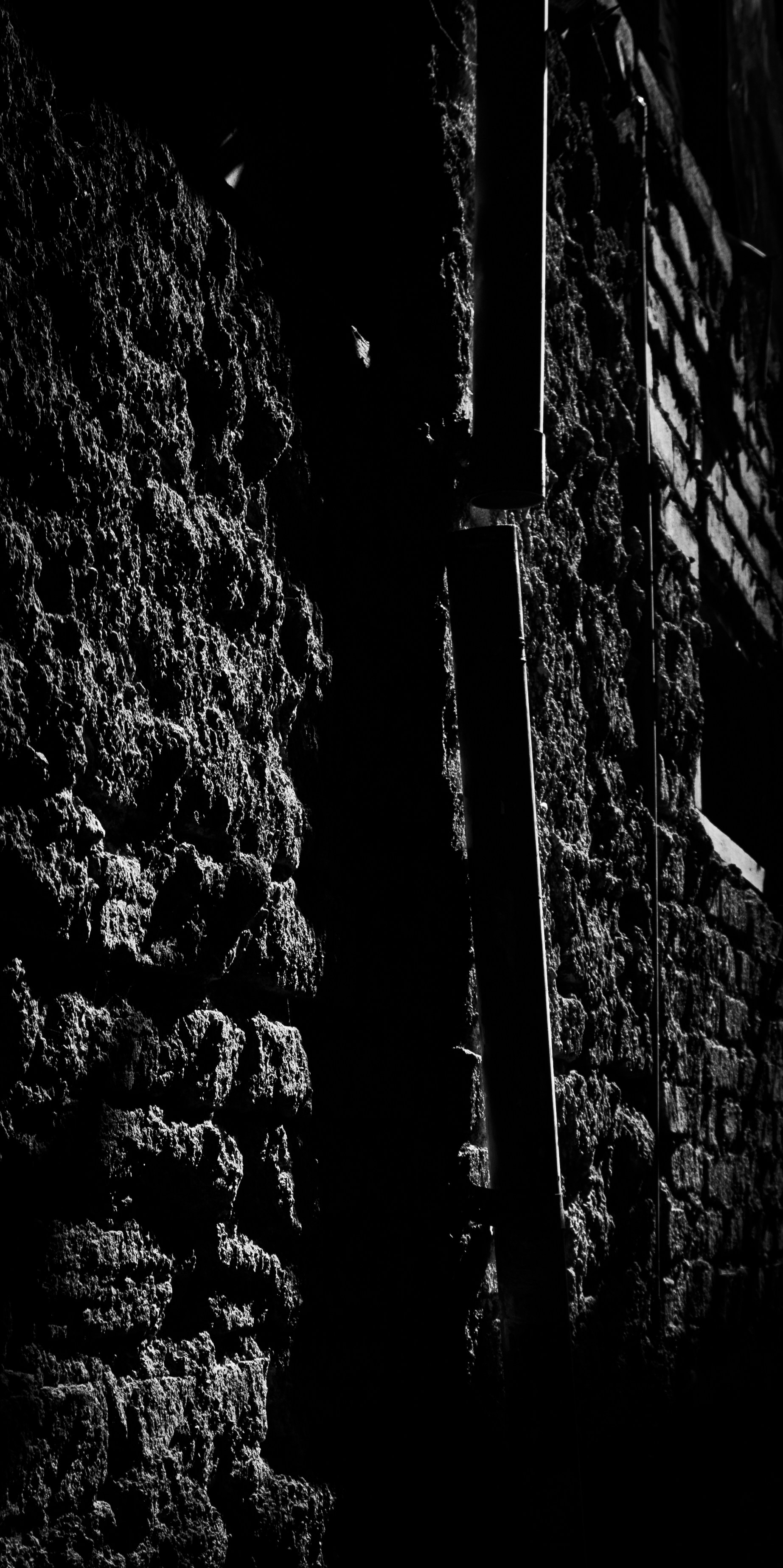 Photo by aletraekaye