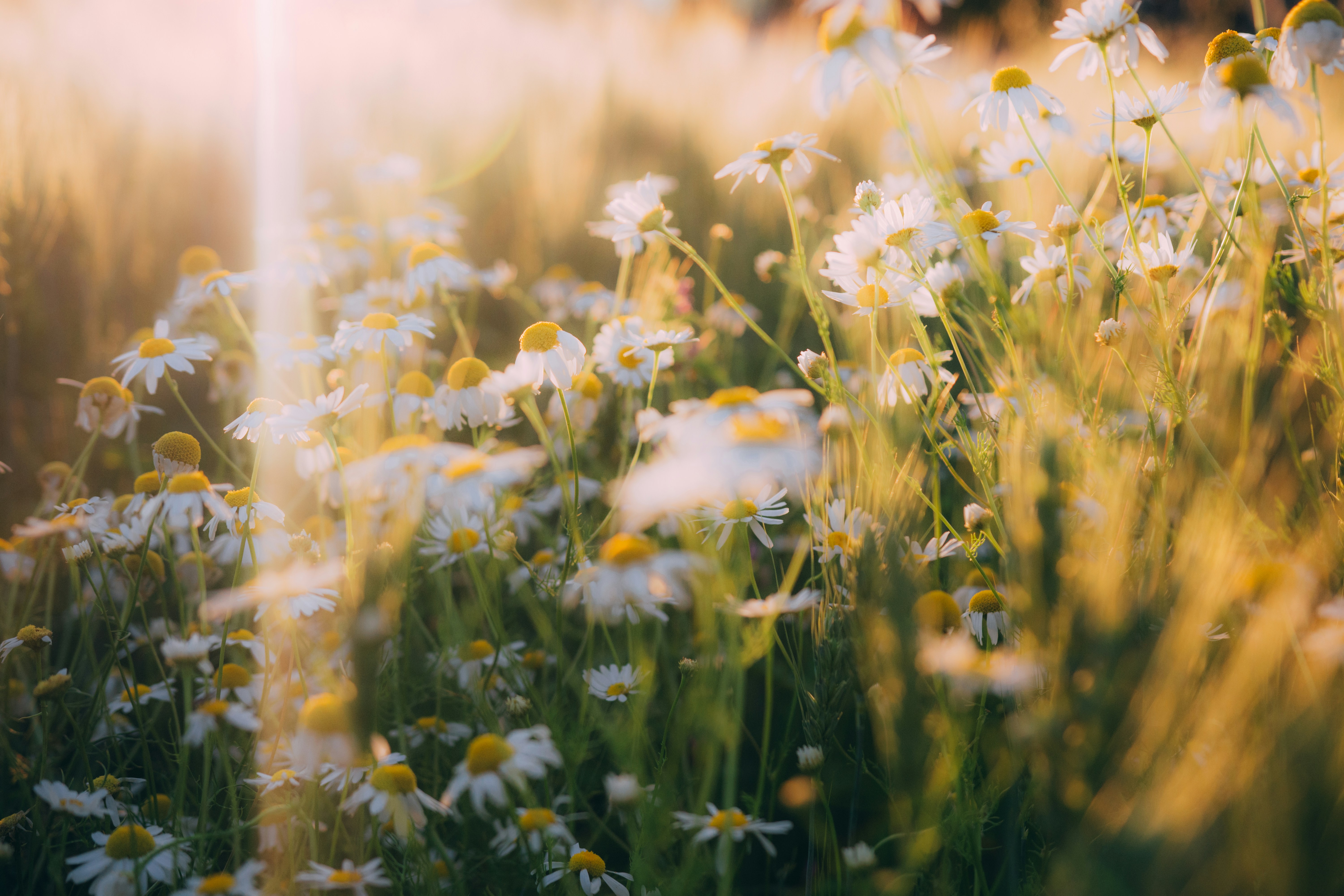 아기 여권 발급 준비물은 뭔가요?