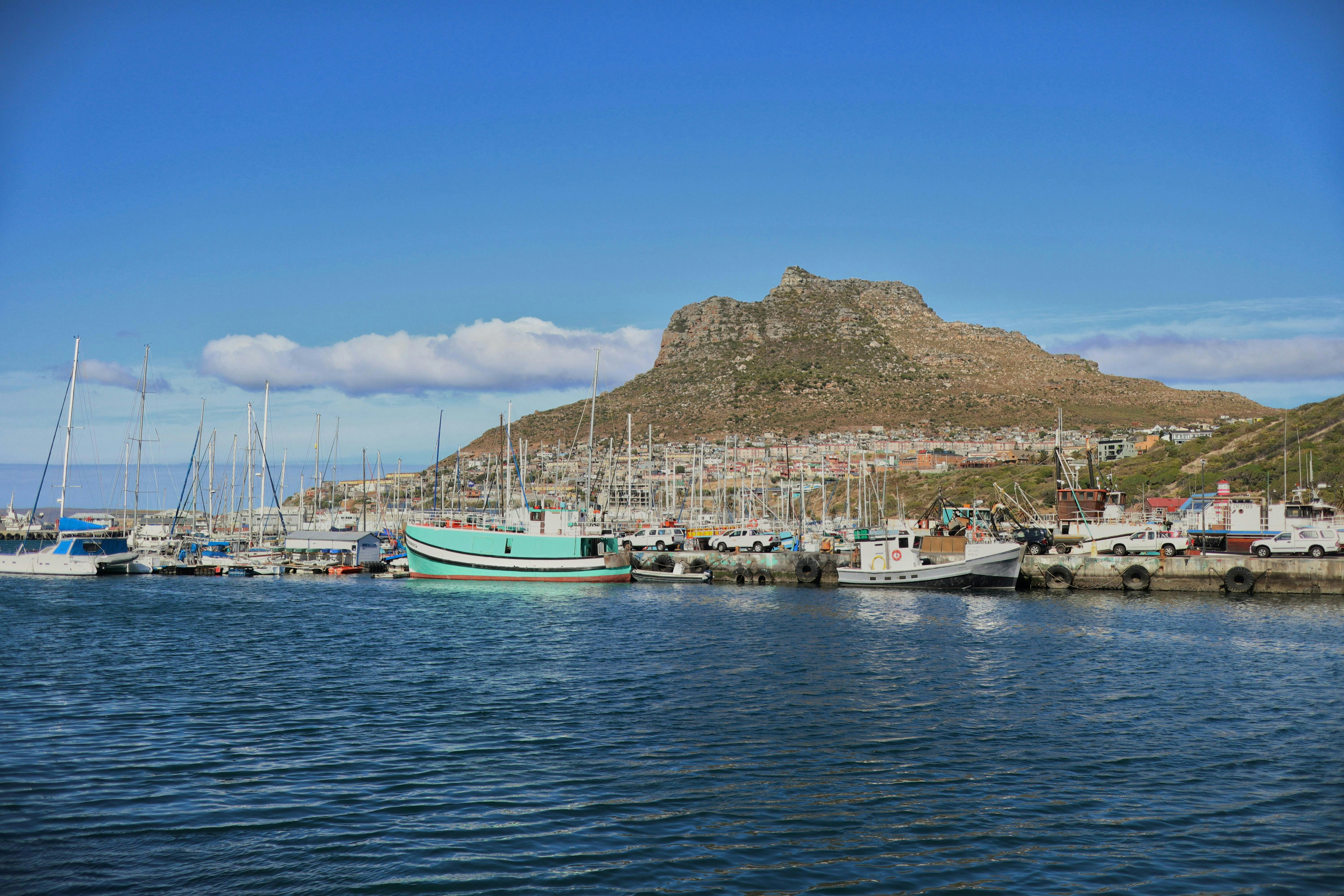 Photo by stefanshoots