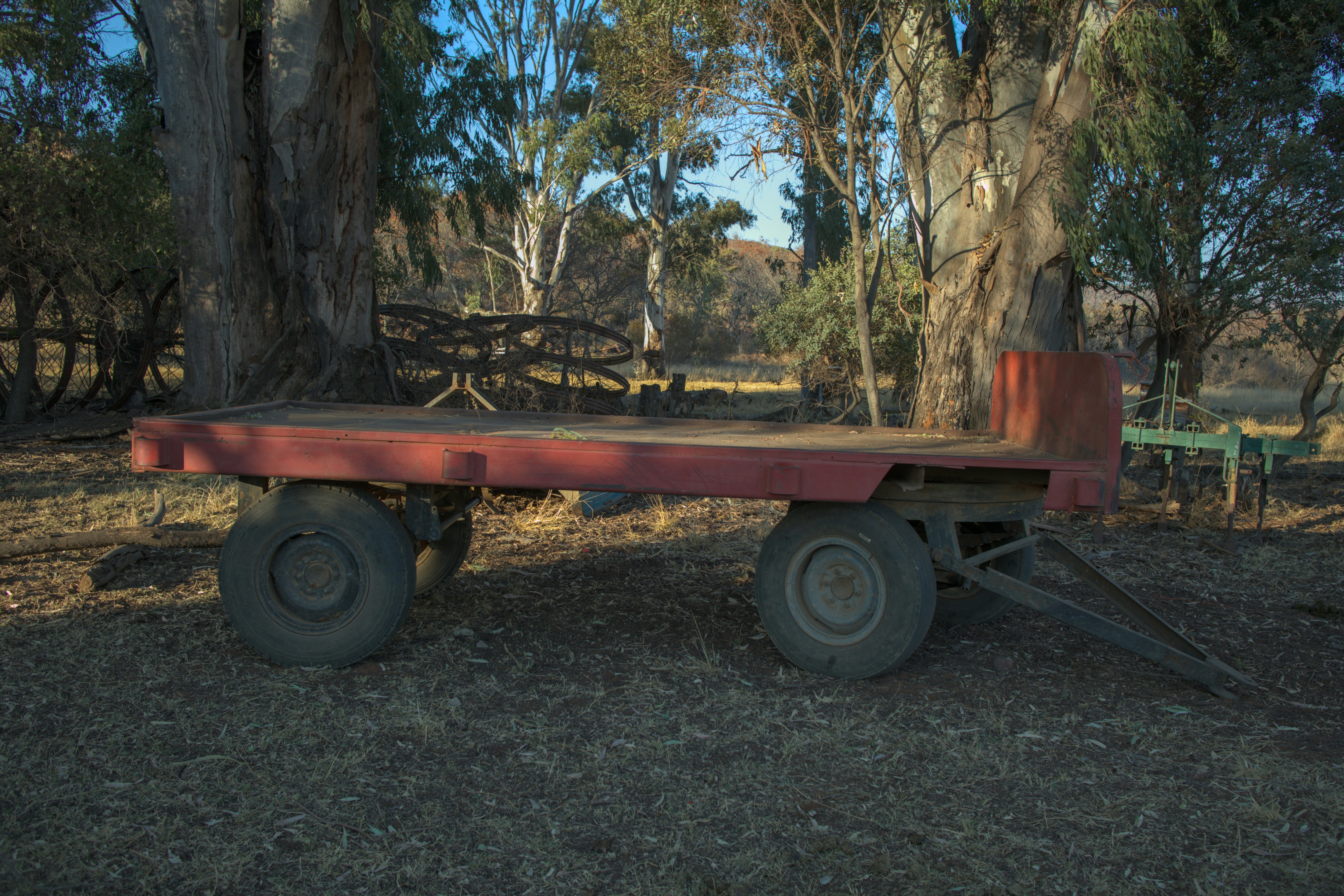 Photo by stefanshoots