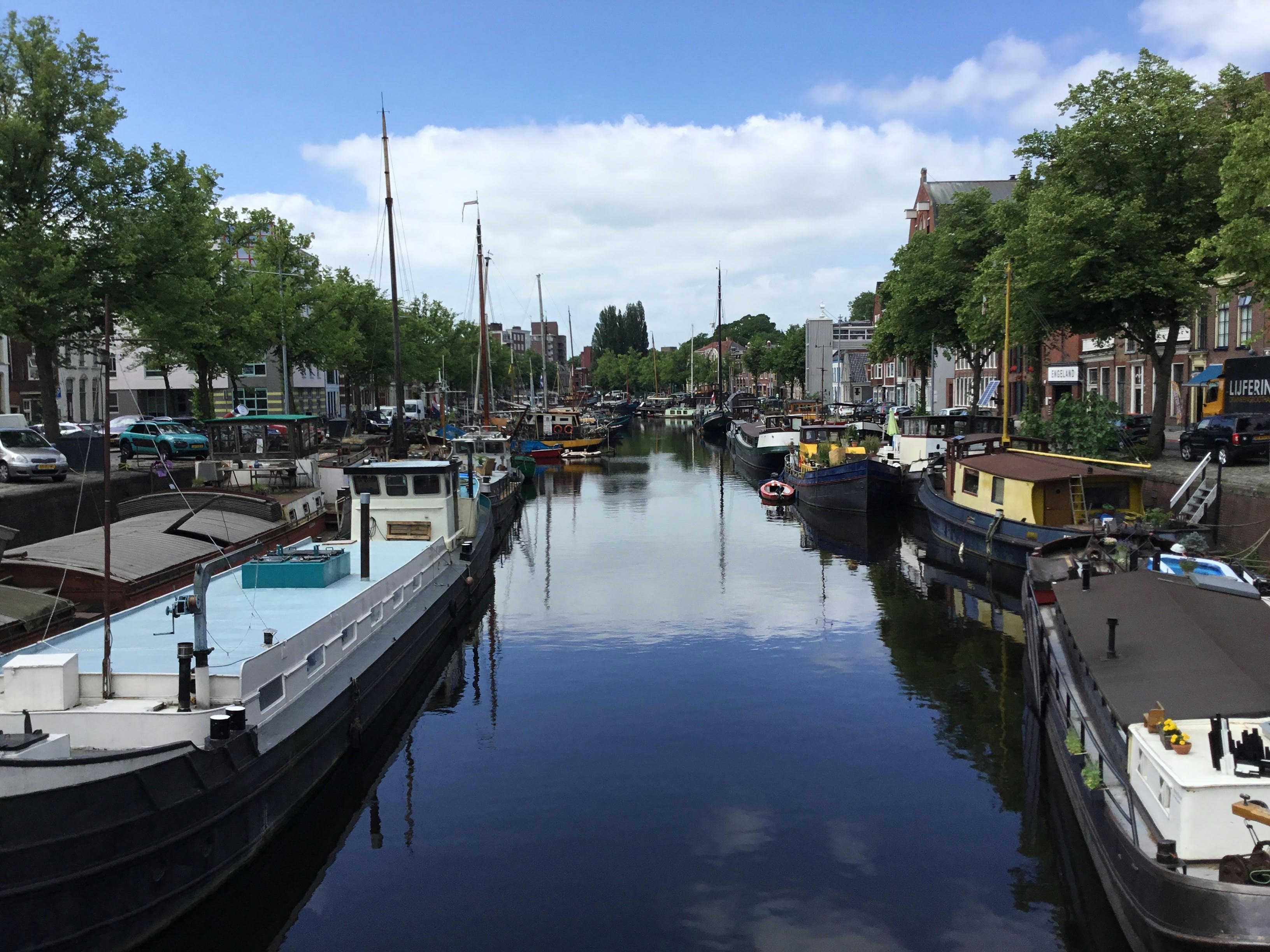 Photo by dplibrarian