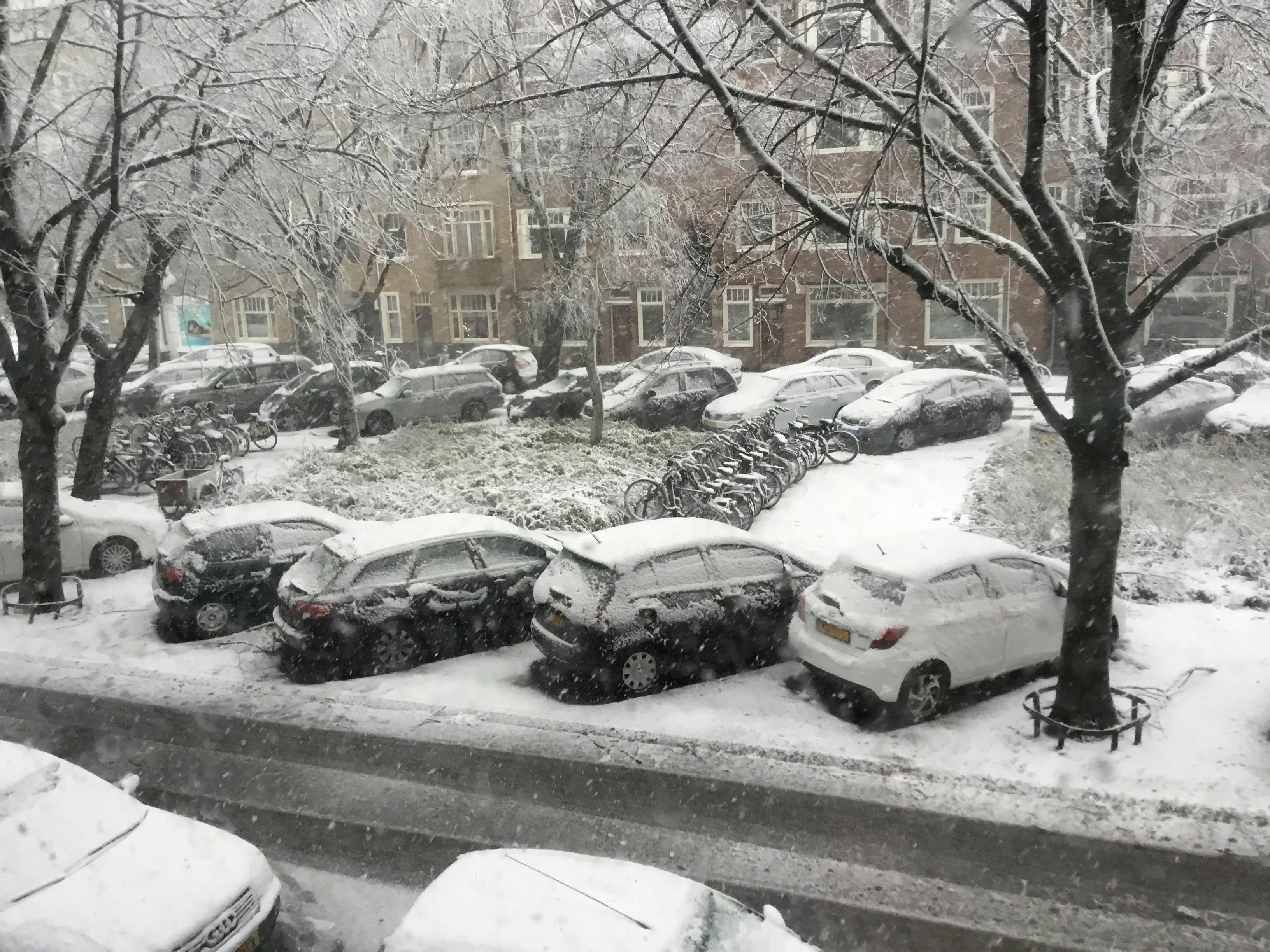 Why the Netherlands Struggles When Snow Hits, and Why Disruptions Spread So Fast post image