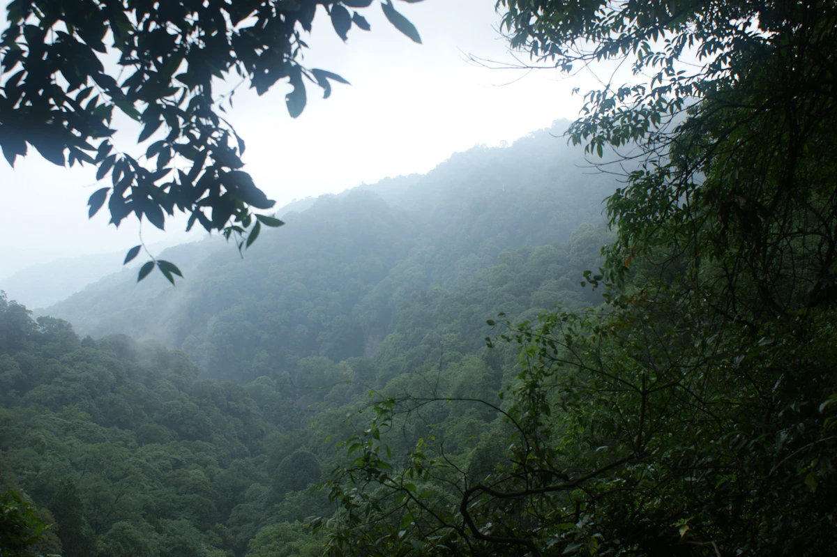 青城山全天漫游
