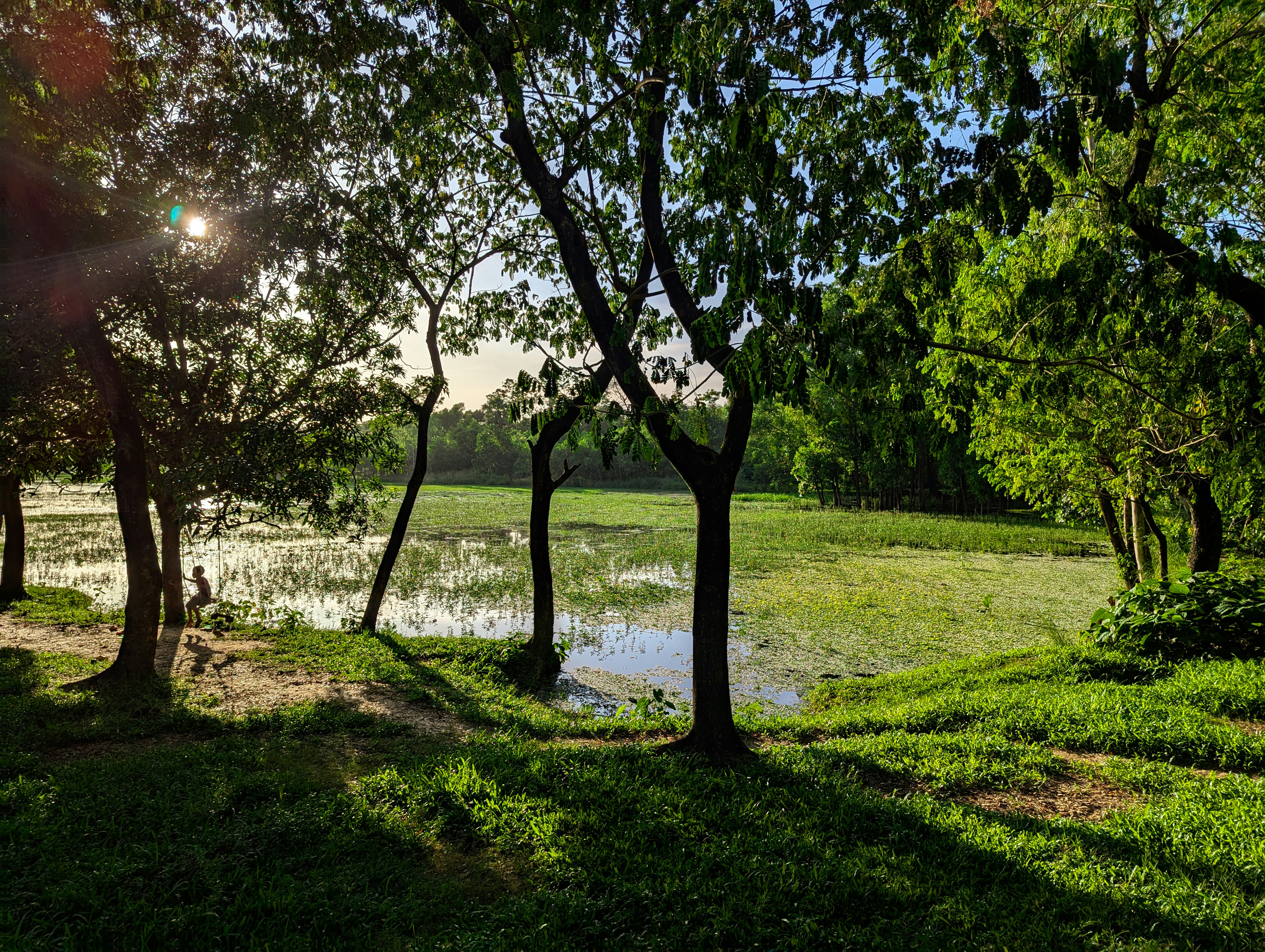 Photo by asifulhaque