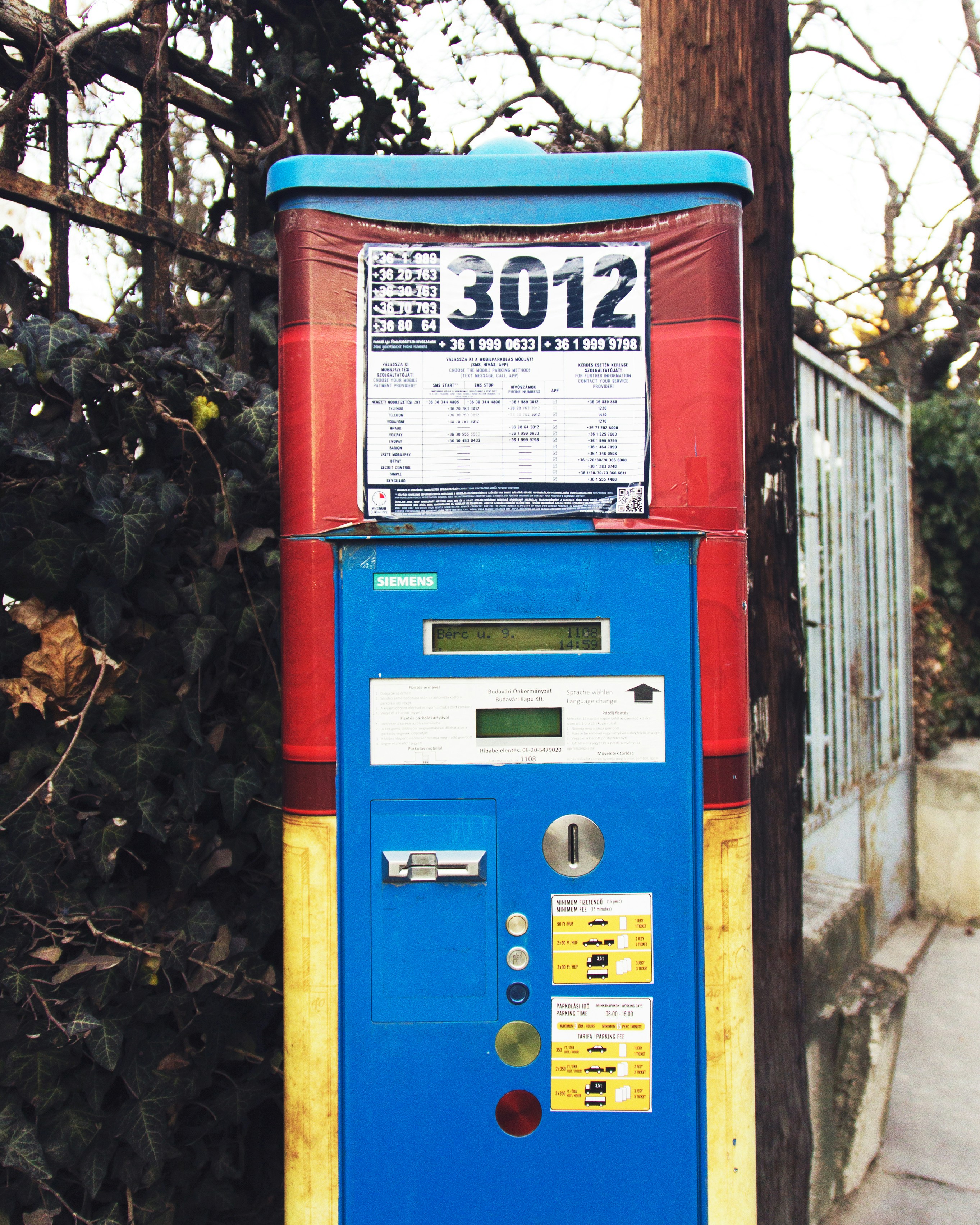 Photo by charlottefosdike