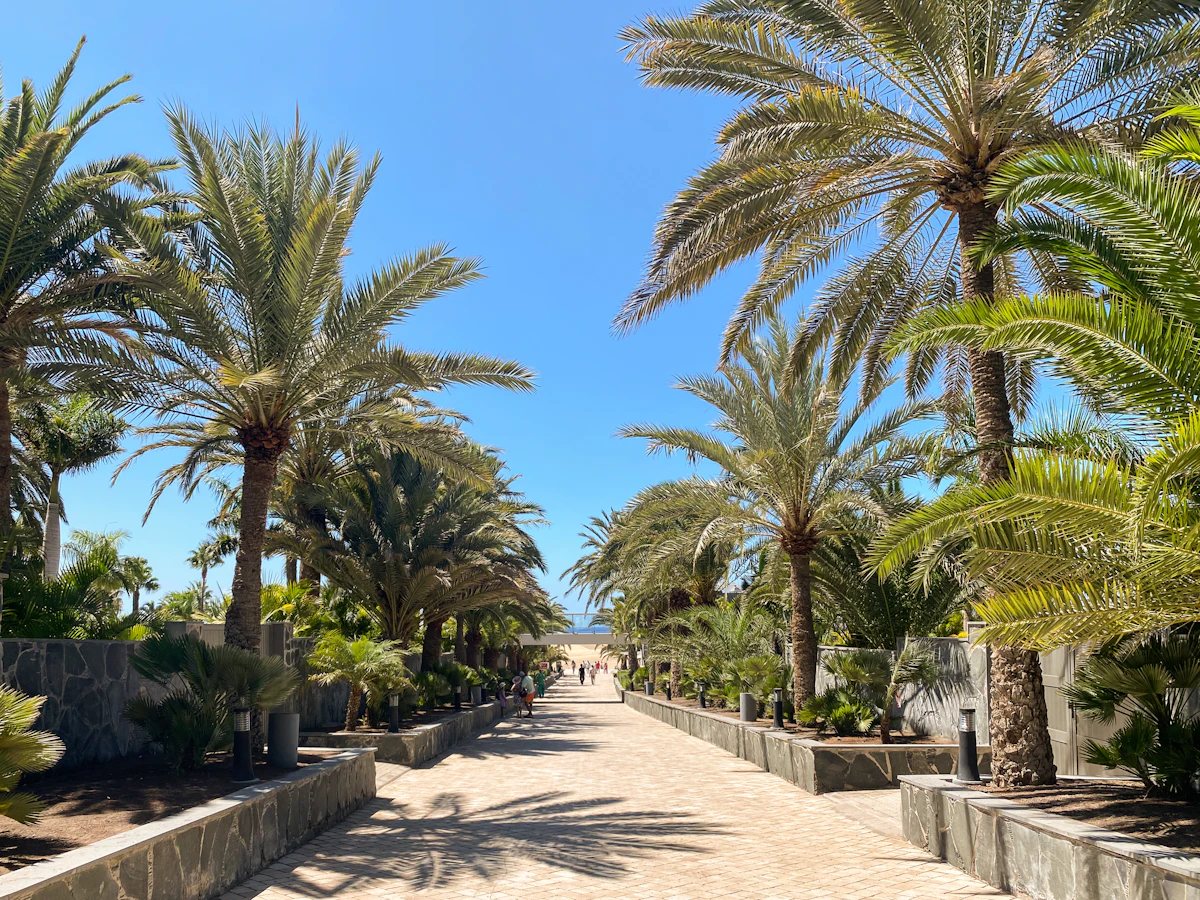 Walkway towards the Maspalomas Dunes, Gran Canaria