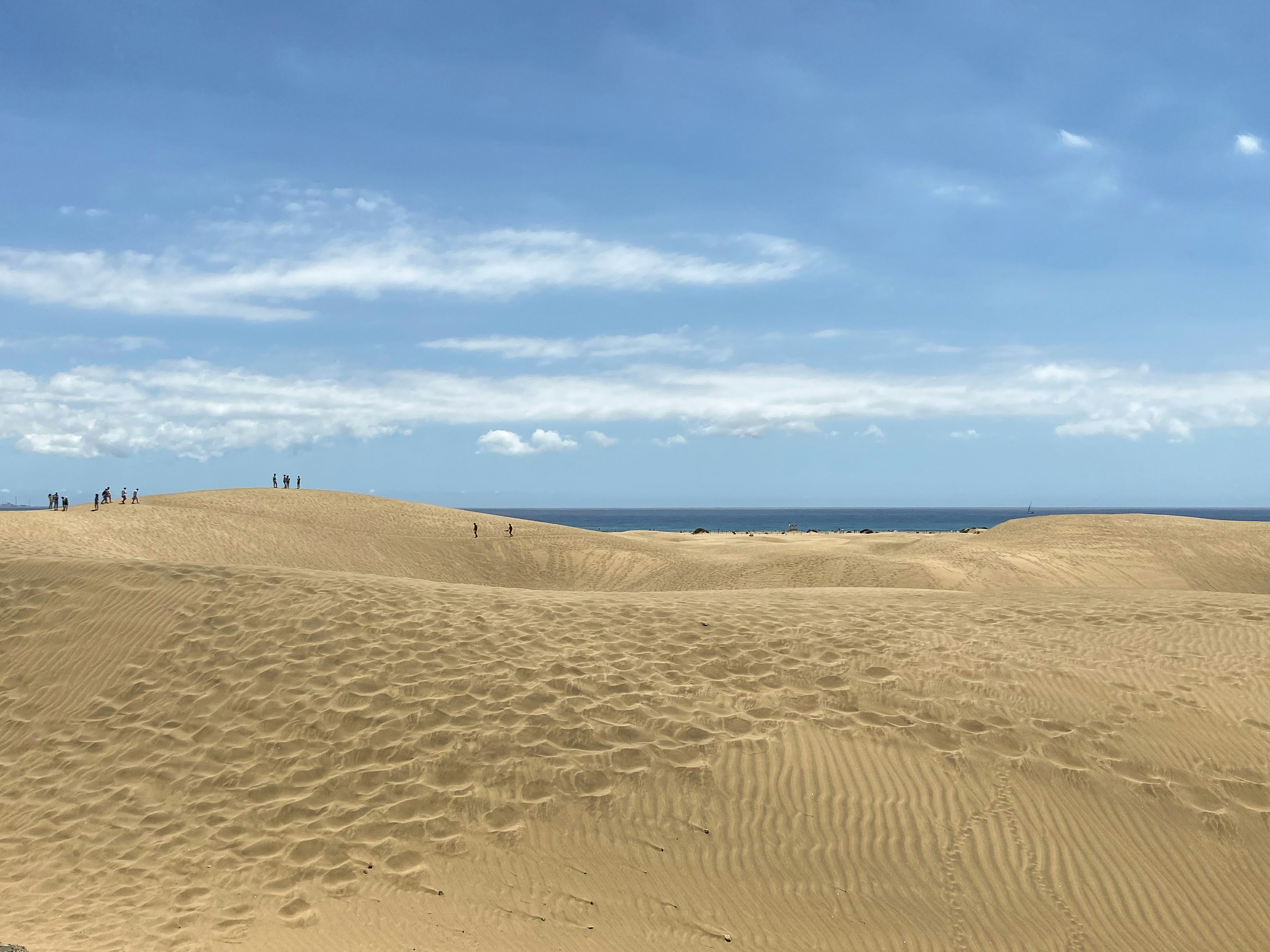 Un groupe de personnes debout au sommet d’une plage de sable